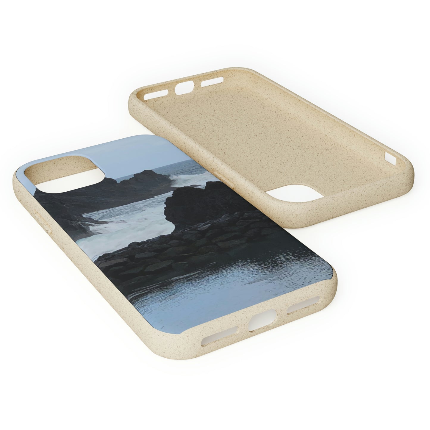 Bio-Cases, Atlantic Ocean