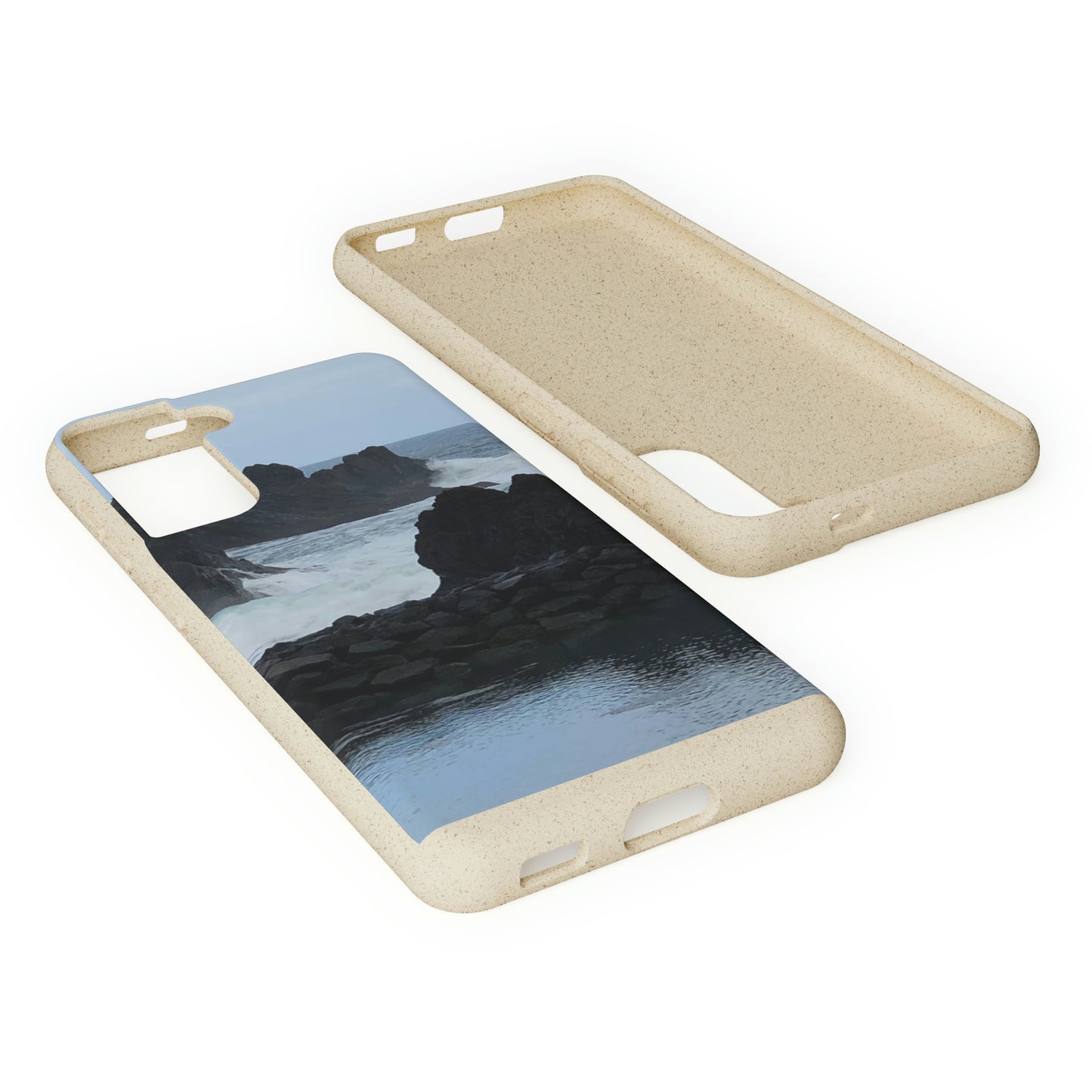 Bio-Cases, Atlantic Ocean