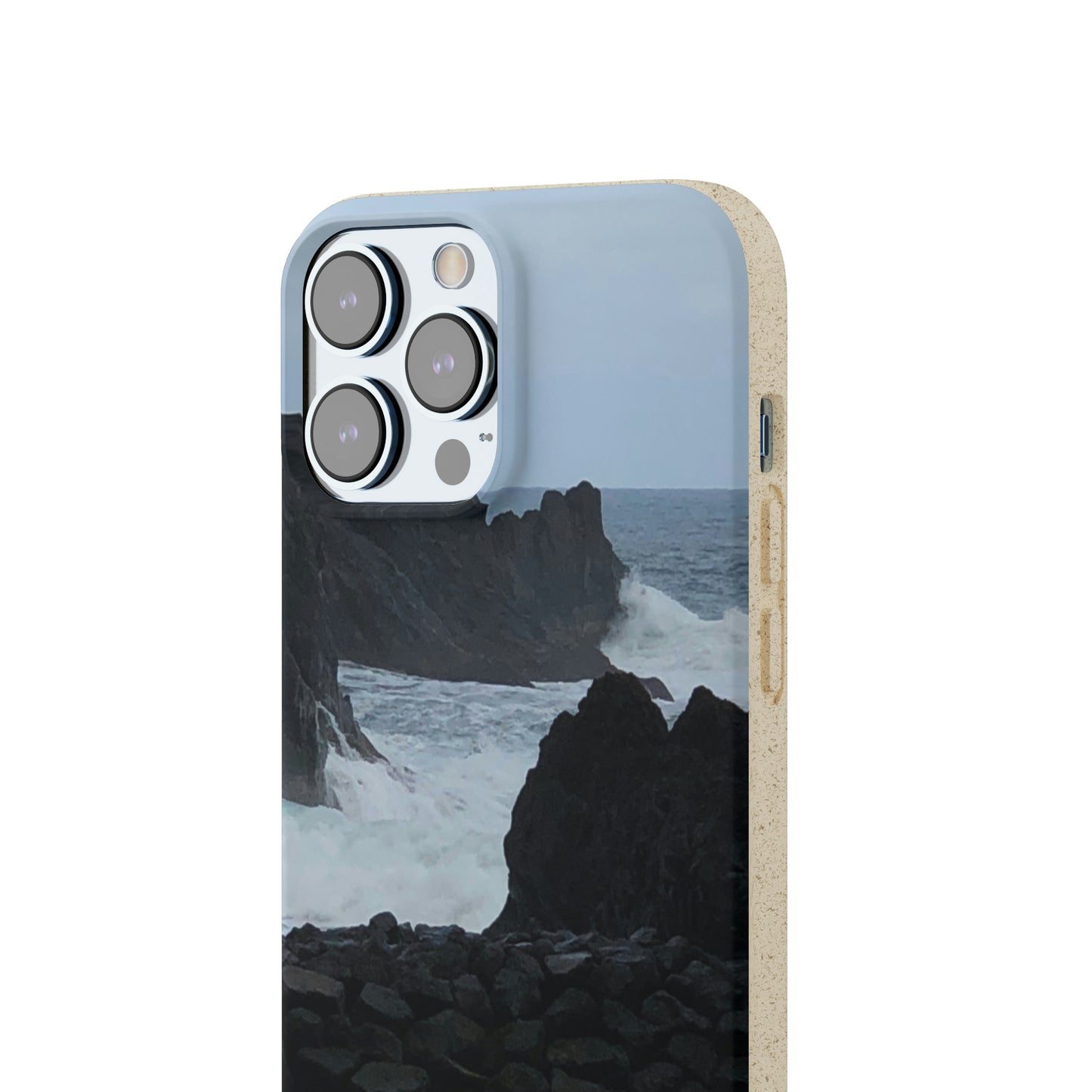 Bio-Cases, Atlantic Ocean