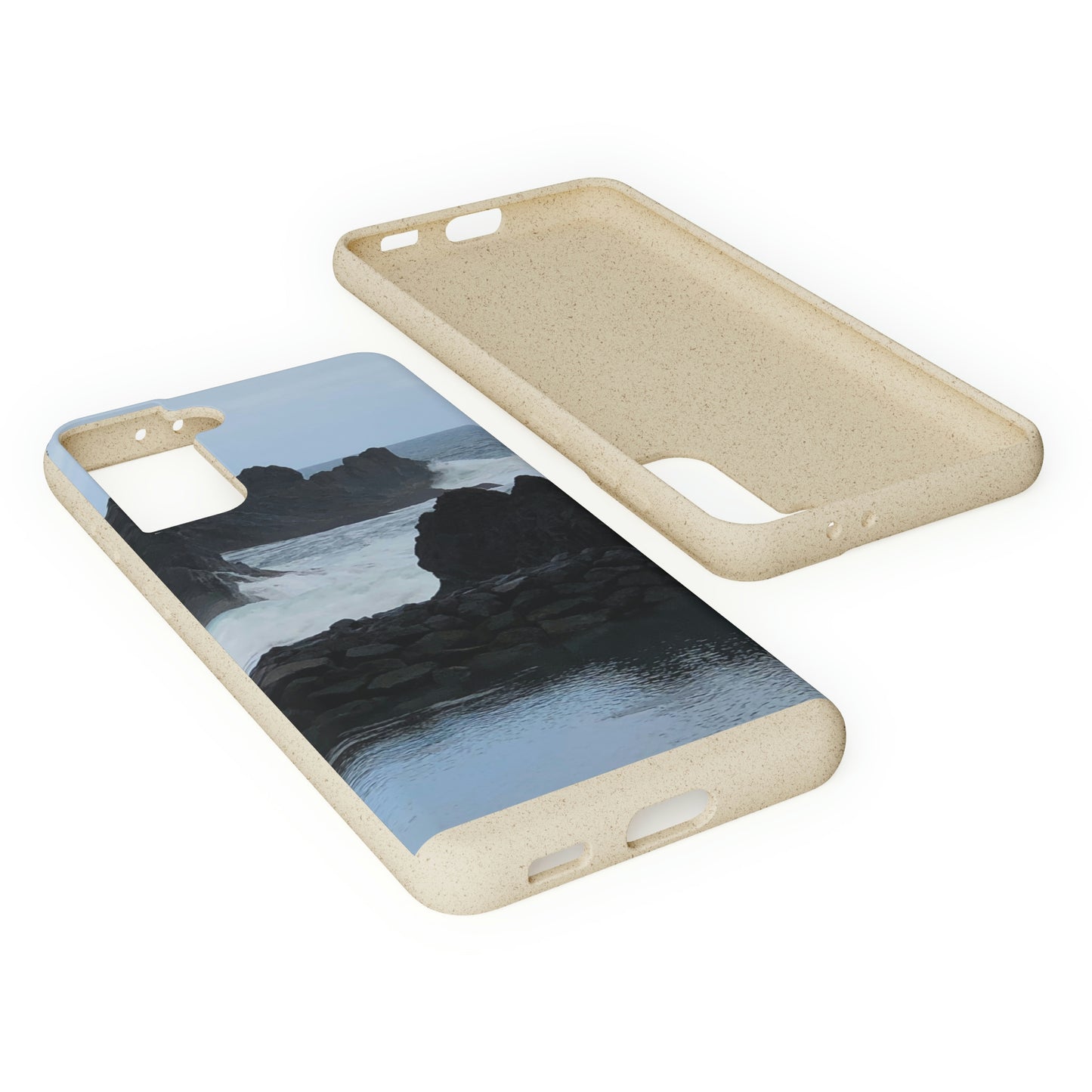 Bio-Cases, Atlantic Ocean