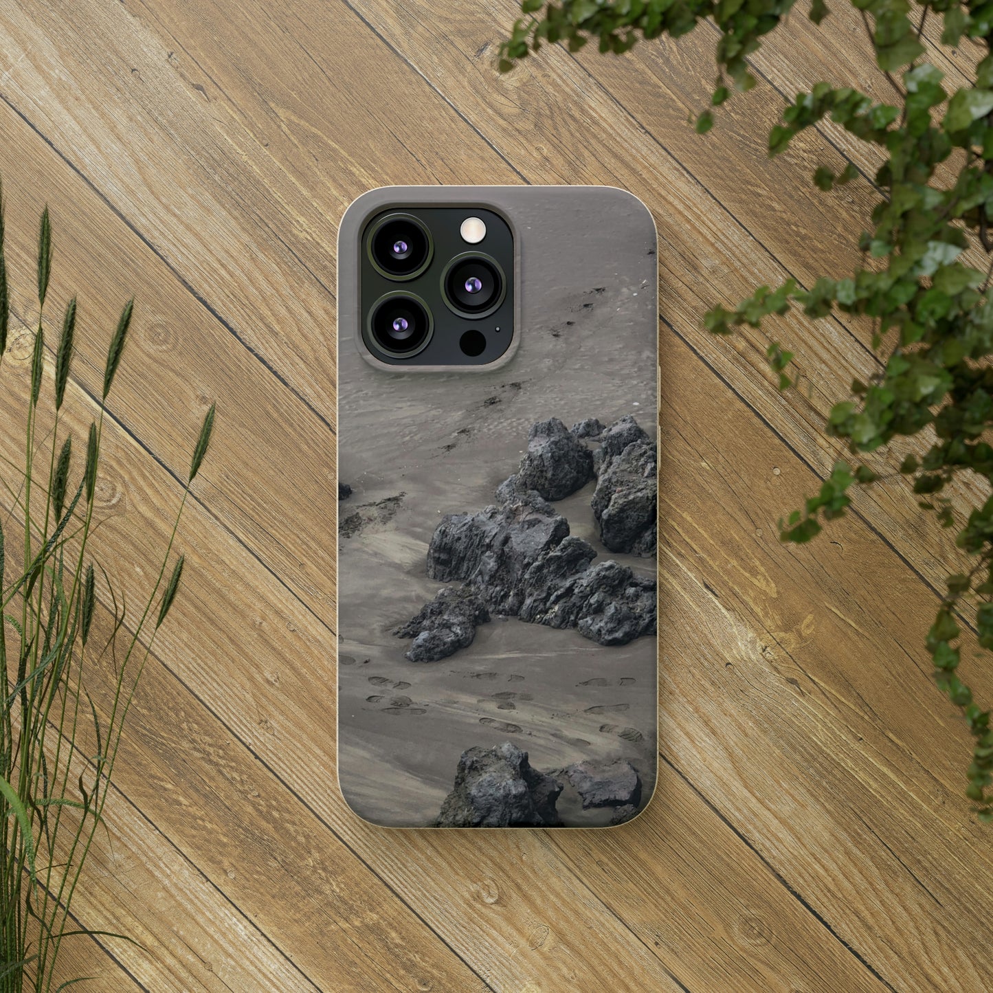 Bio-Cases, Beach Tracks