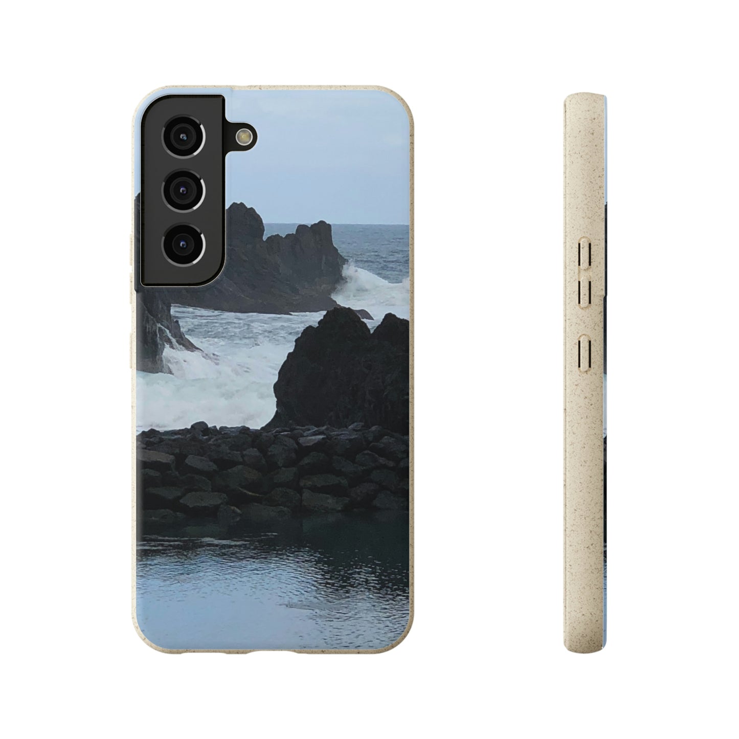 Bio-Cases, Atlantic Ocean