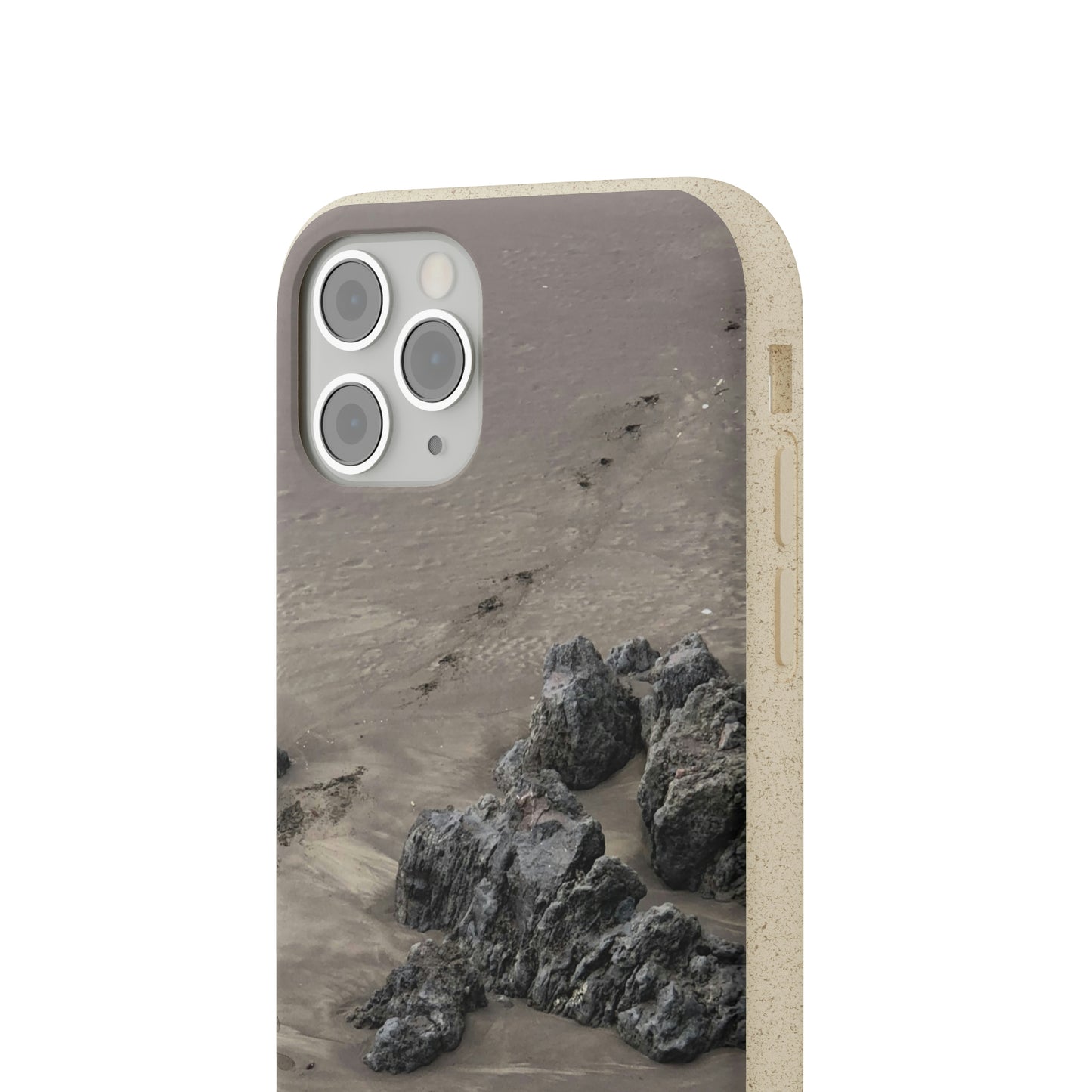 Bio-Cases, Beach Tracks