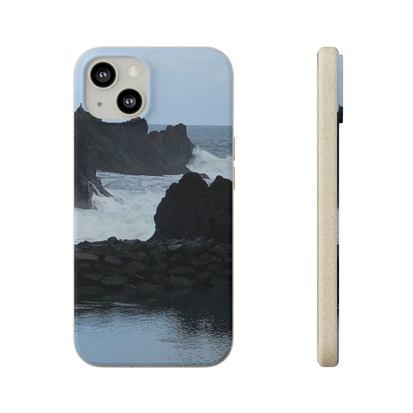 Bio-Cases, Atlantic Ocean