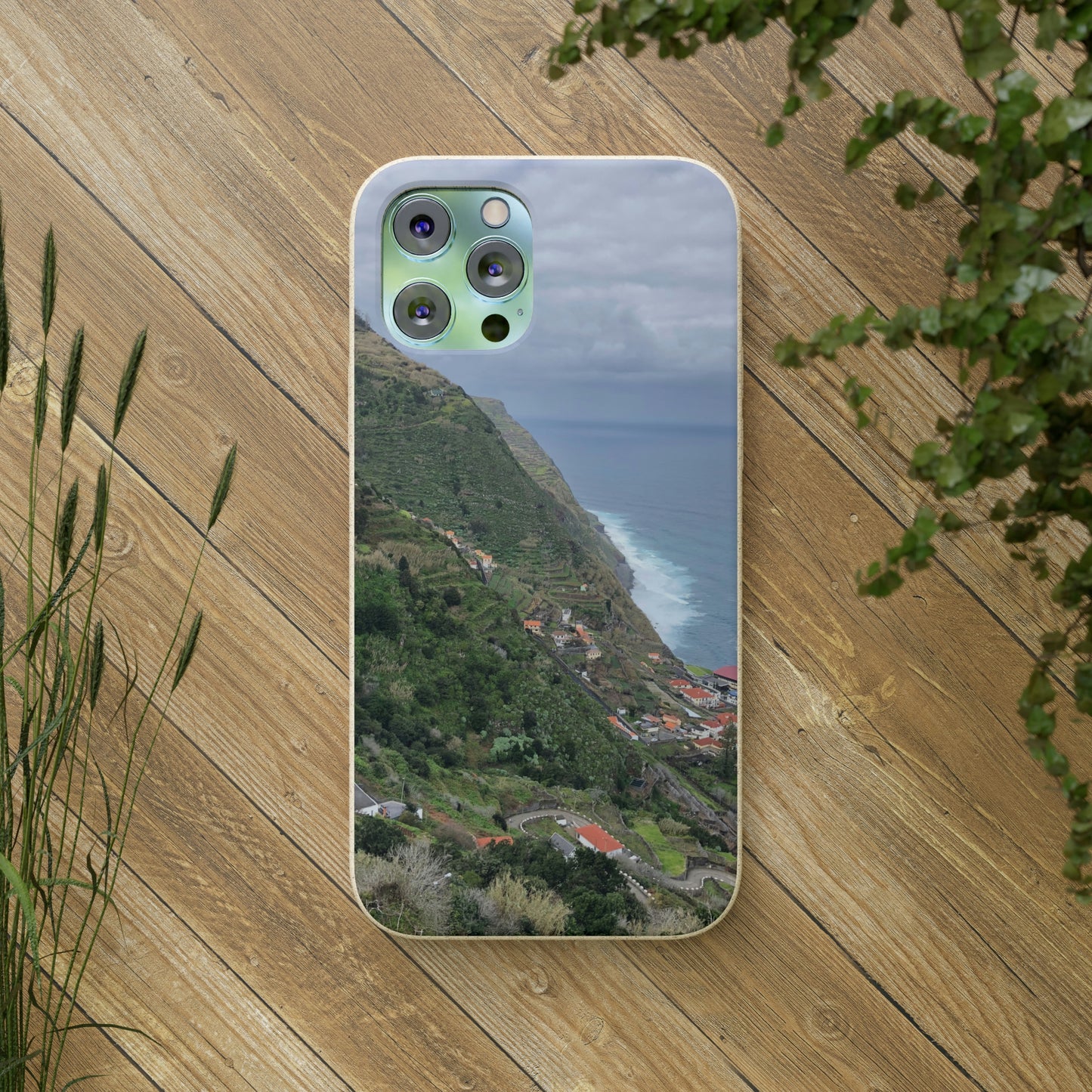 Bio-Cases, Atlantic Ocean Coast