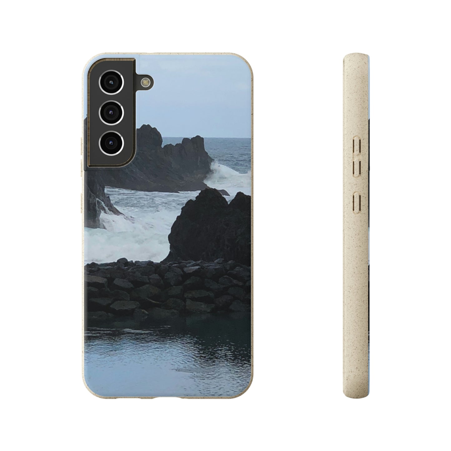 Bio-Cases, Atlantic Ocean