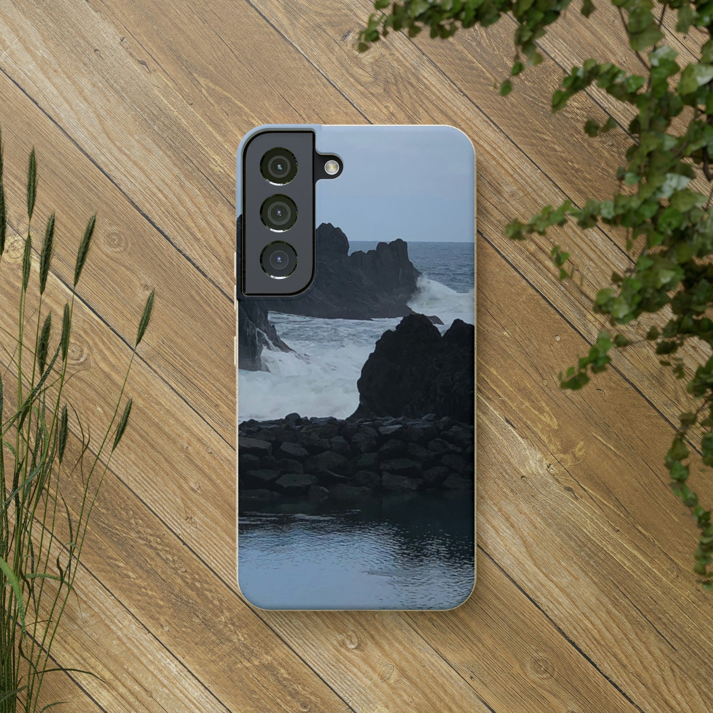 Bio-Cases, Atlantic Ocean