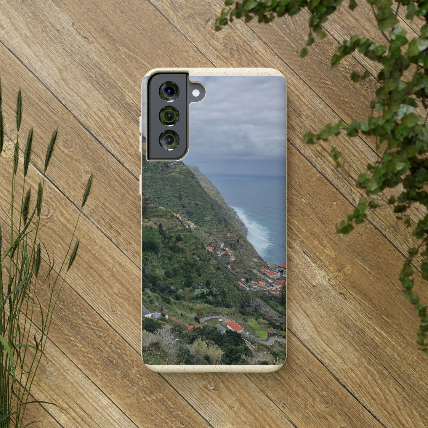Bio-Cases, Atlantic Ocean Coast