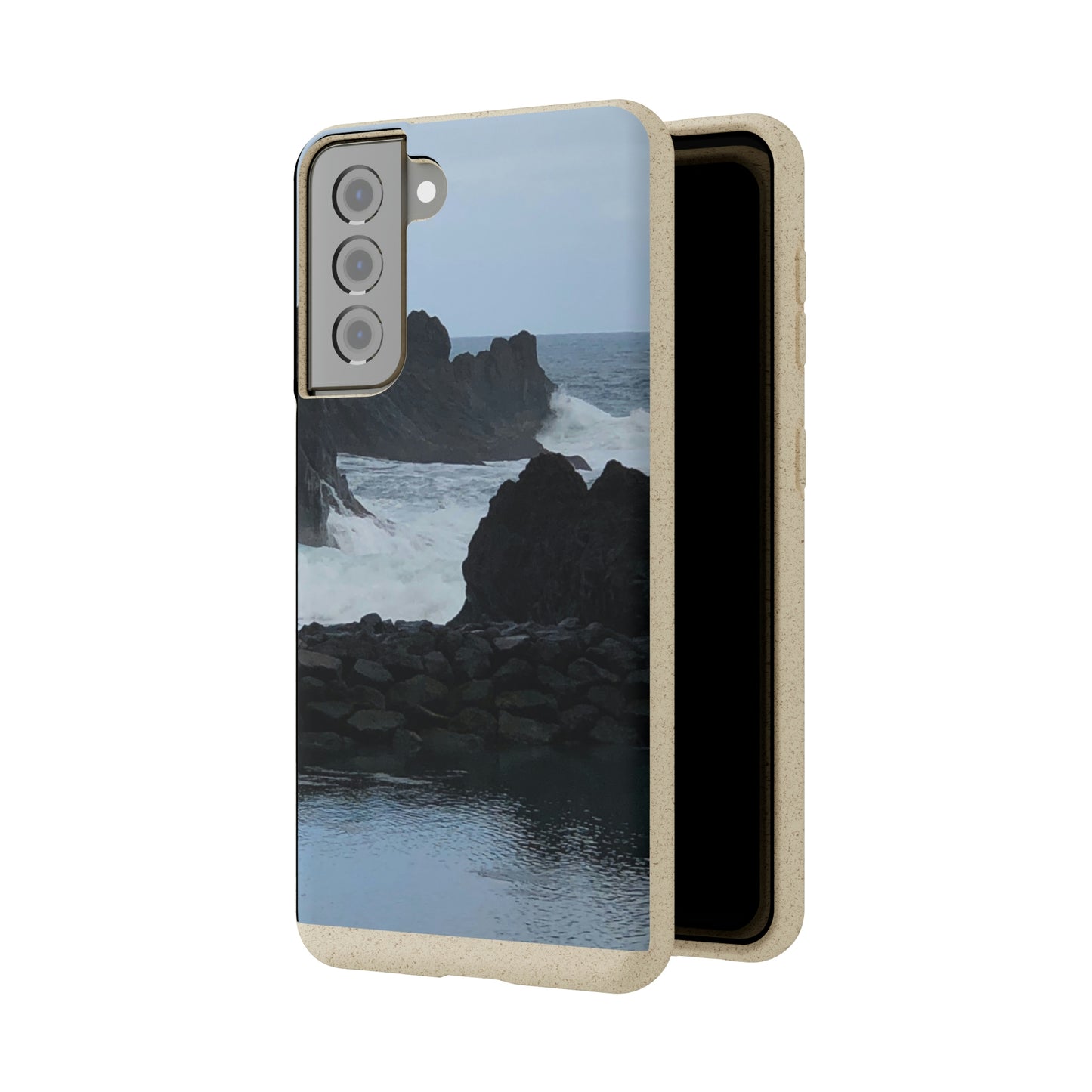 Bio-Cases, Atlantic Ocean