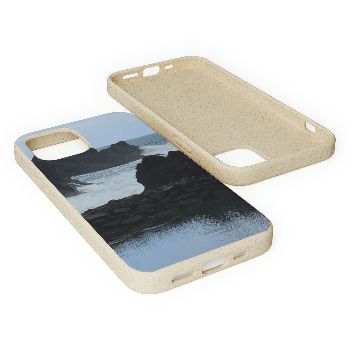 Bio-Cases, Atlantic Ocean