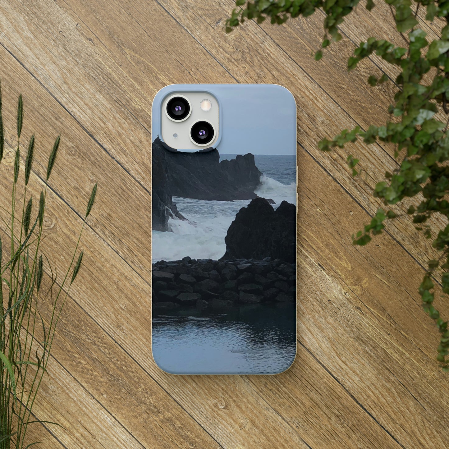 Bio-Cases, Atlantic Ocean