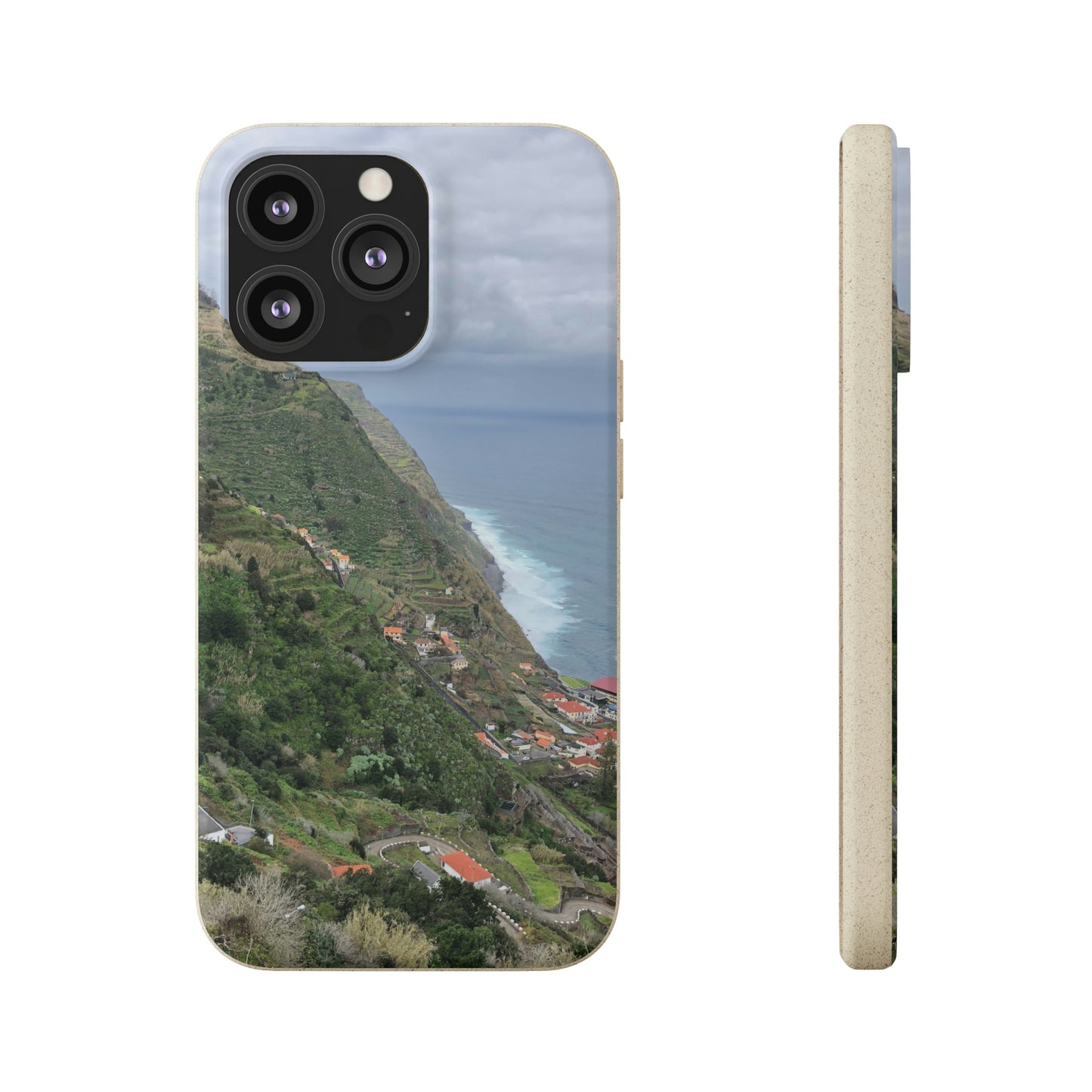 Bio-Cases, Atlantic Ocean Coast