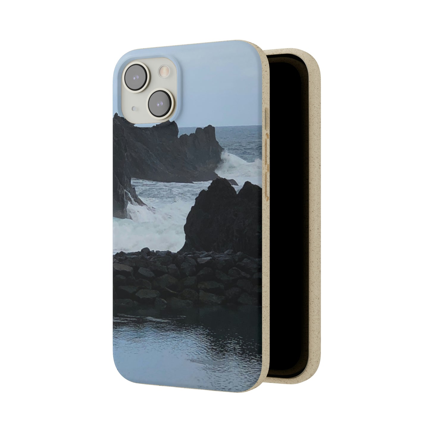 Bio-Cases, Atlantic Ocean
