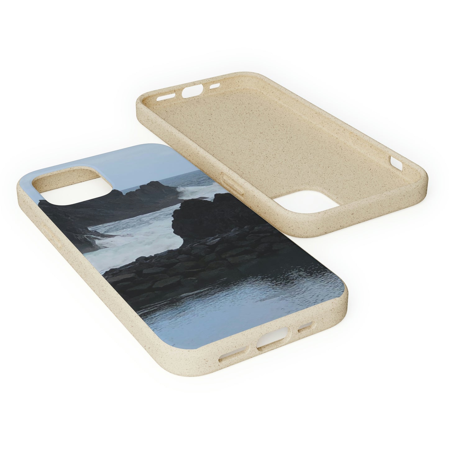 Bio-Cases, Atlantic Ocean