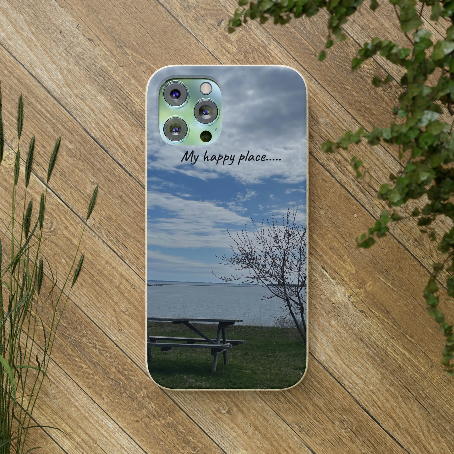 Bio-Cases, Bench by the Sea