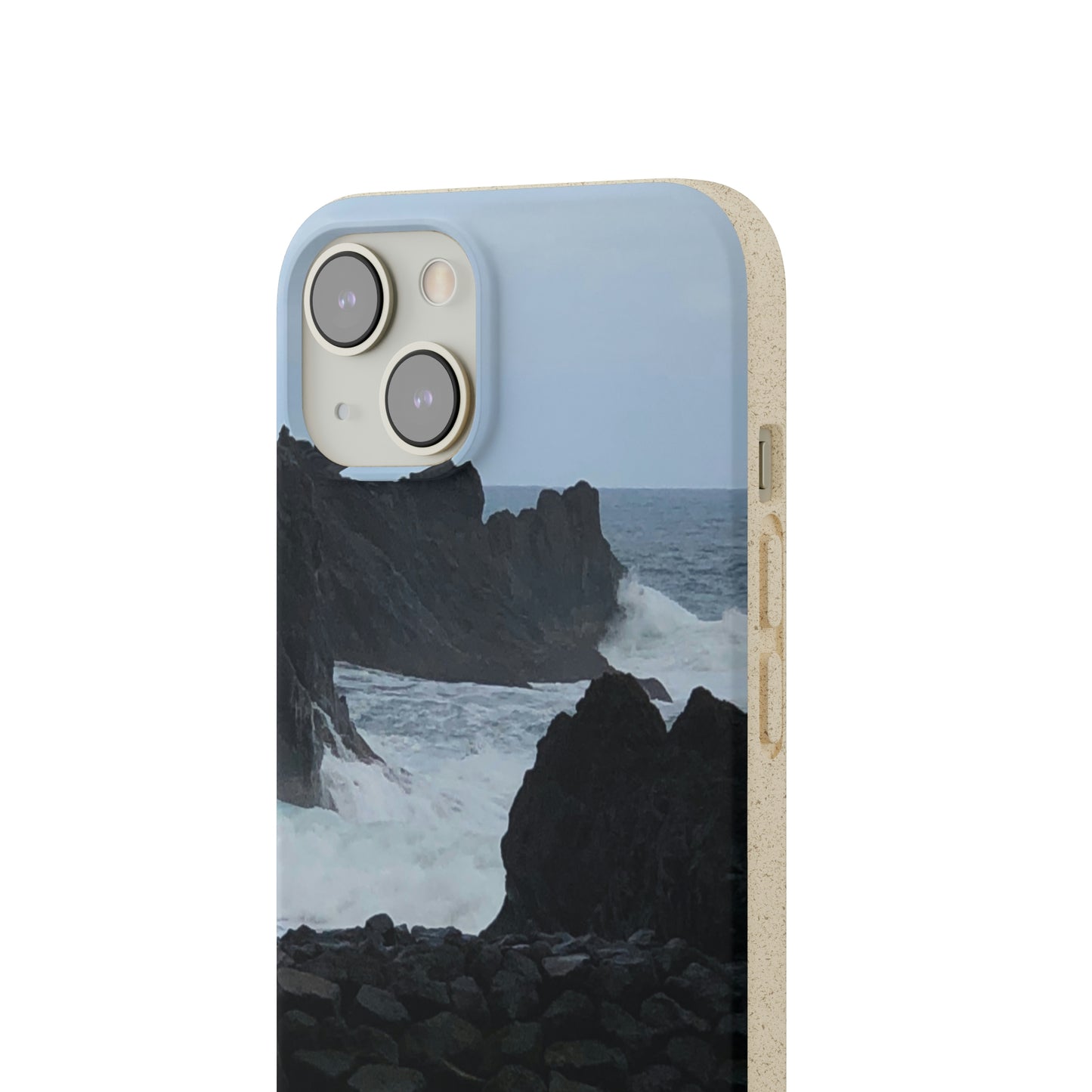 Bio-Cases, Atlantic Ocean