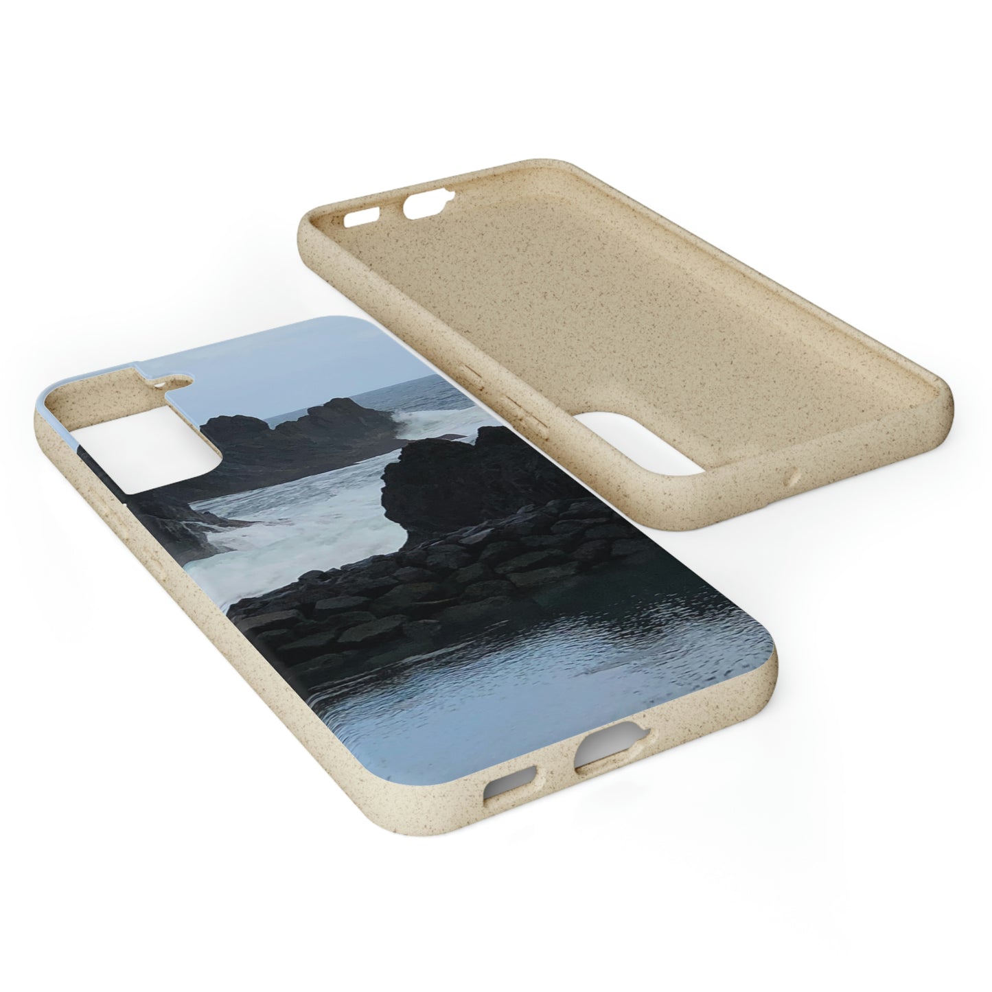 Bio-Cases, Atlantic Ocean