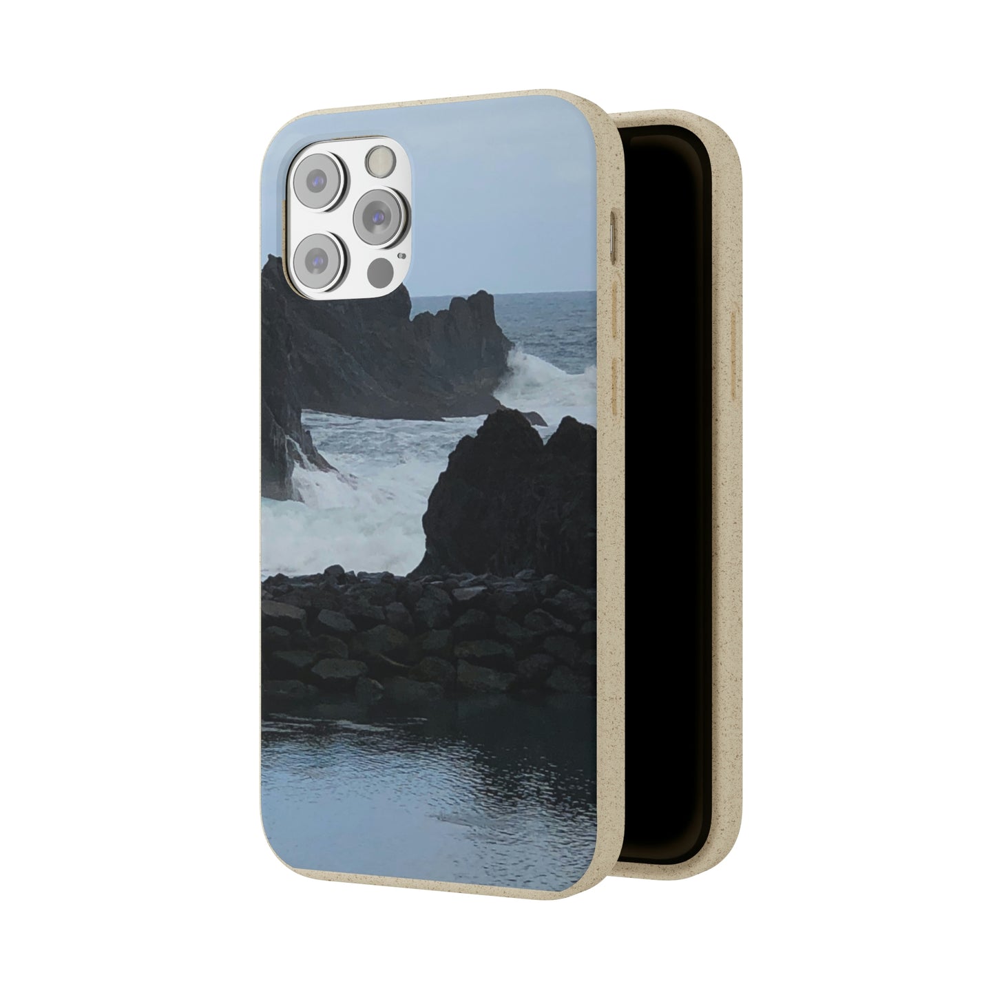 Bio-Cases, Atlantic Ocean