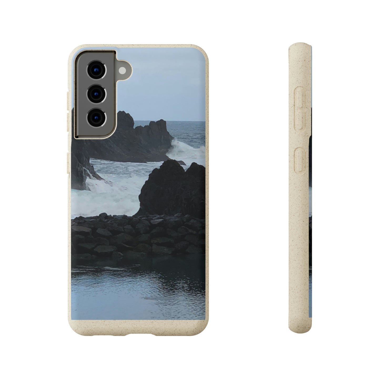 Bio-Cases, Atlantic Ocean