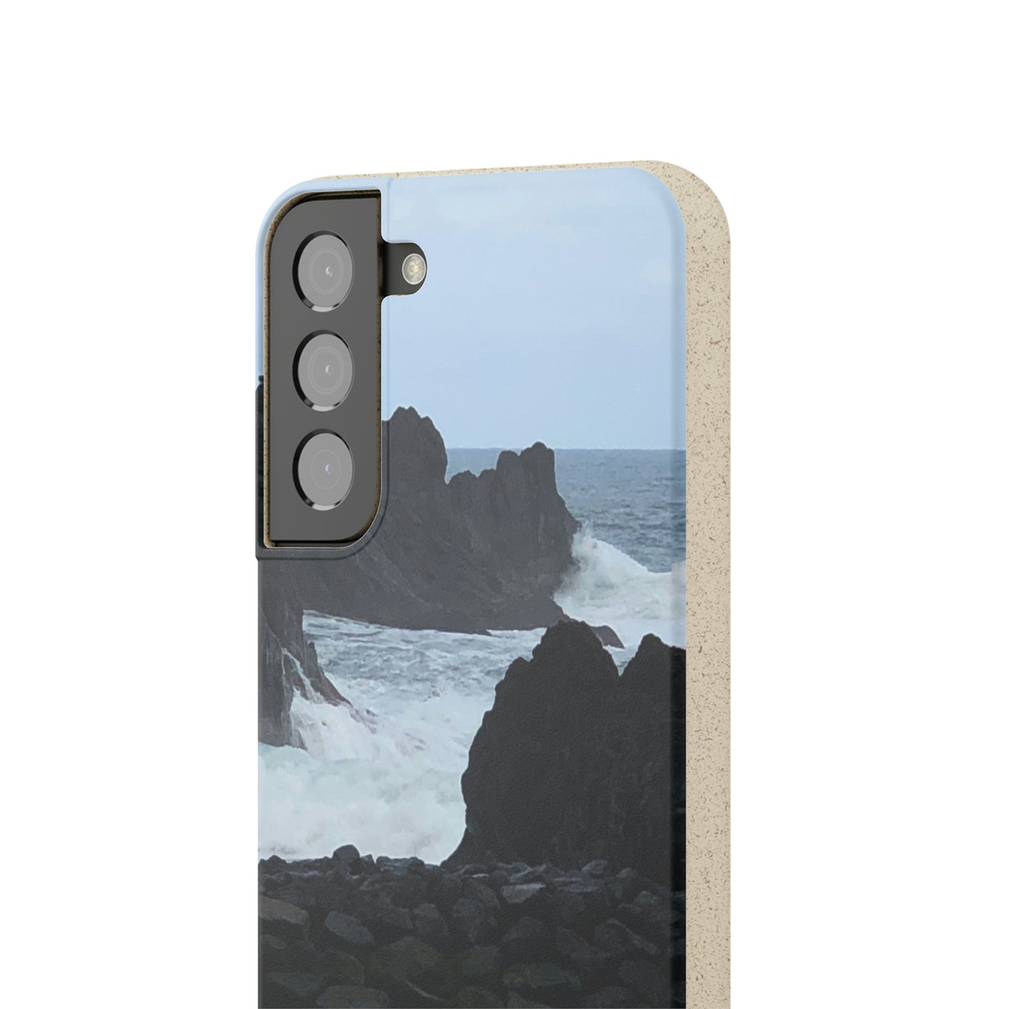 Bio-Cases, Atlantic Ocean