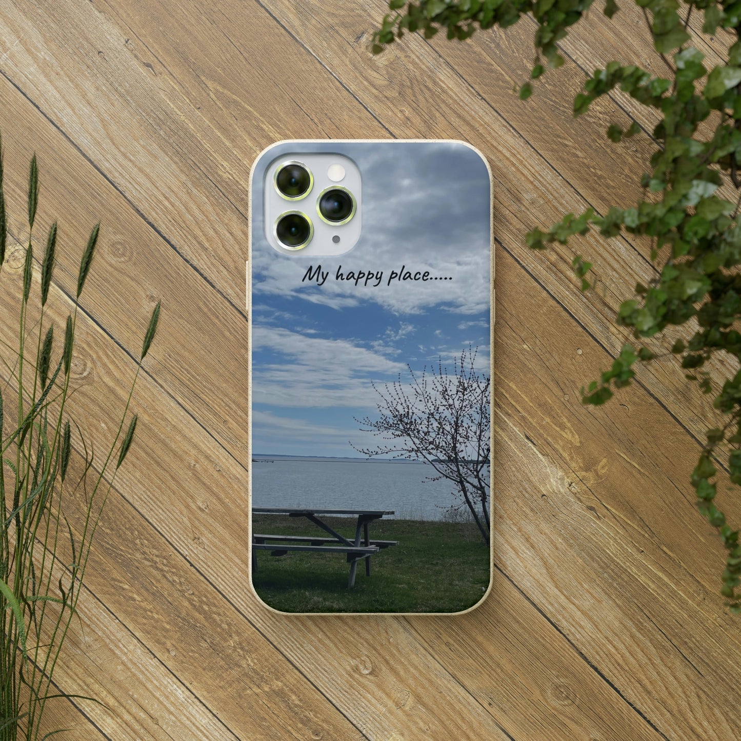 Bio-Cases, Bench by the Sea