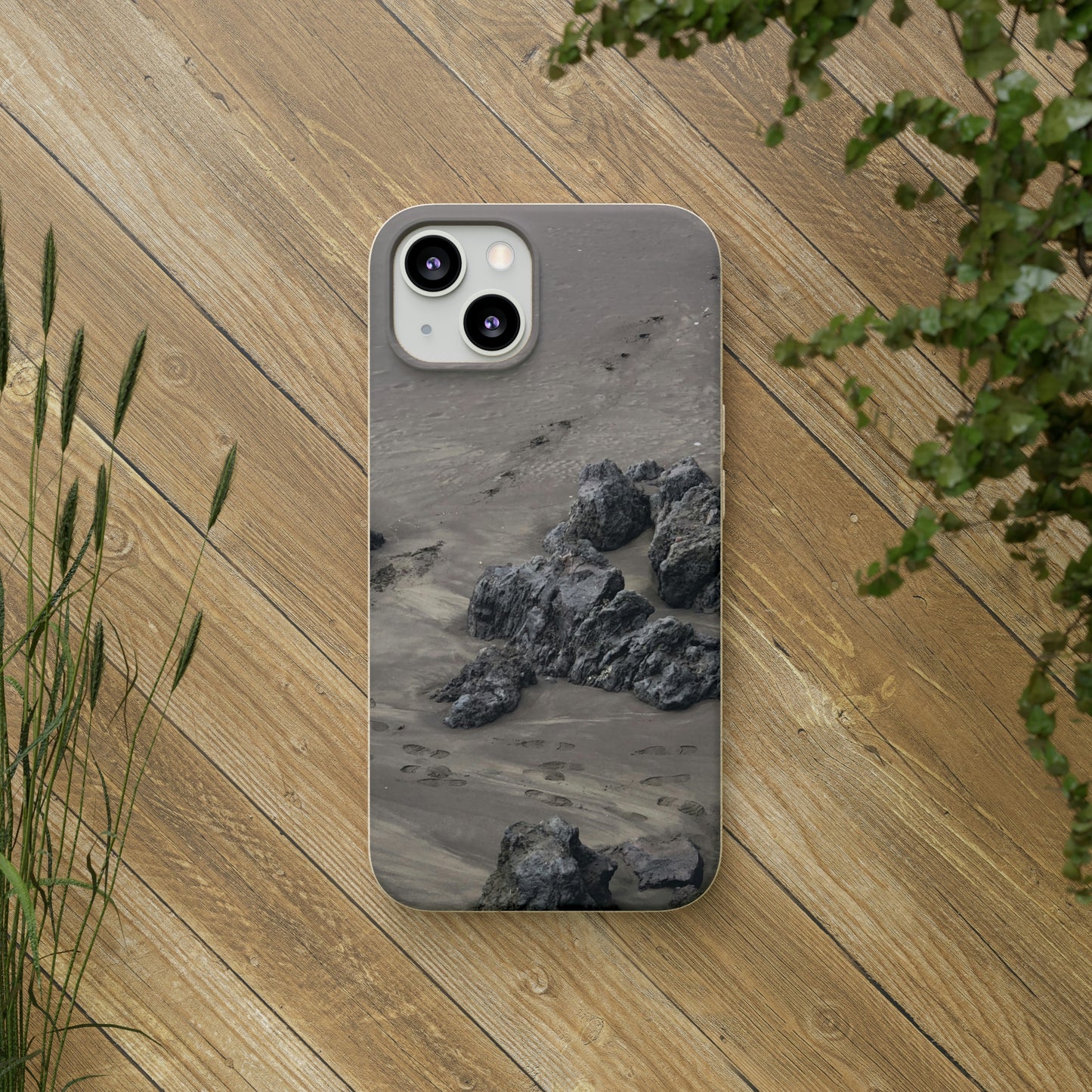 Bio-Cases, Beach Tracks