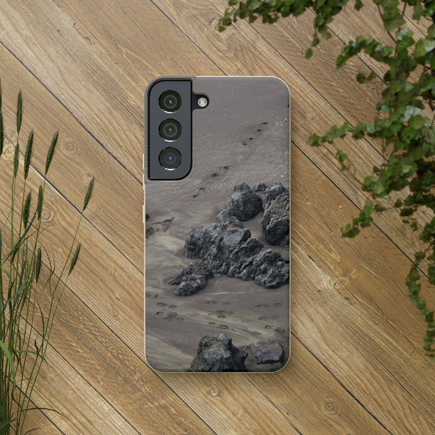 Bio-Cases, Beach Tracks