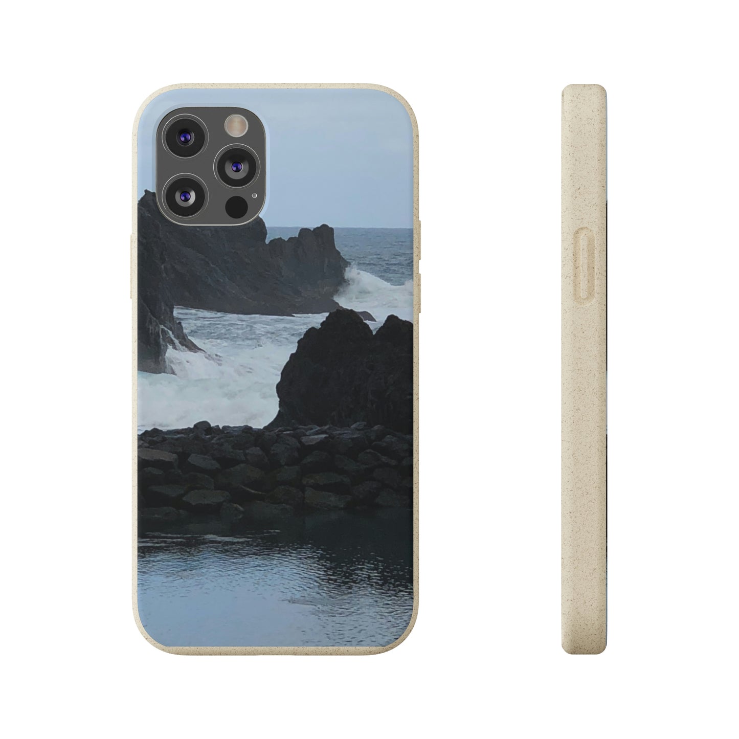 Bio-Cases, Atlantic Ocean