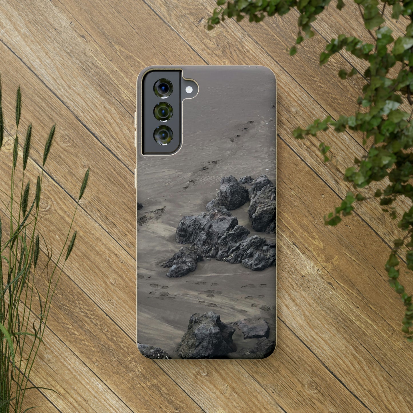 Bio-Cases, Beach Tracks