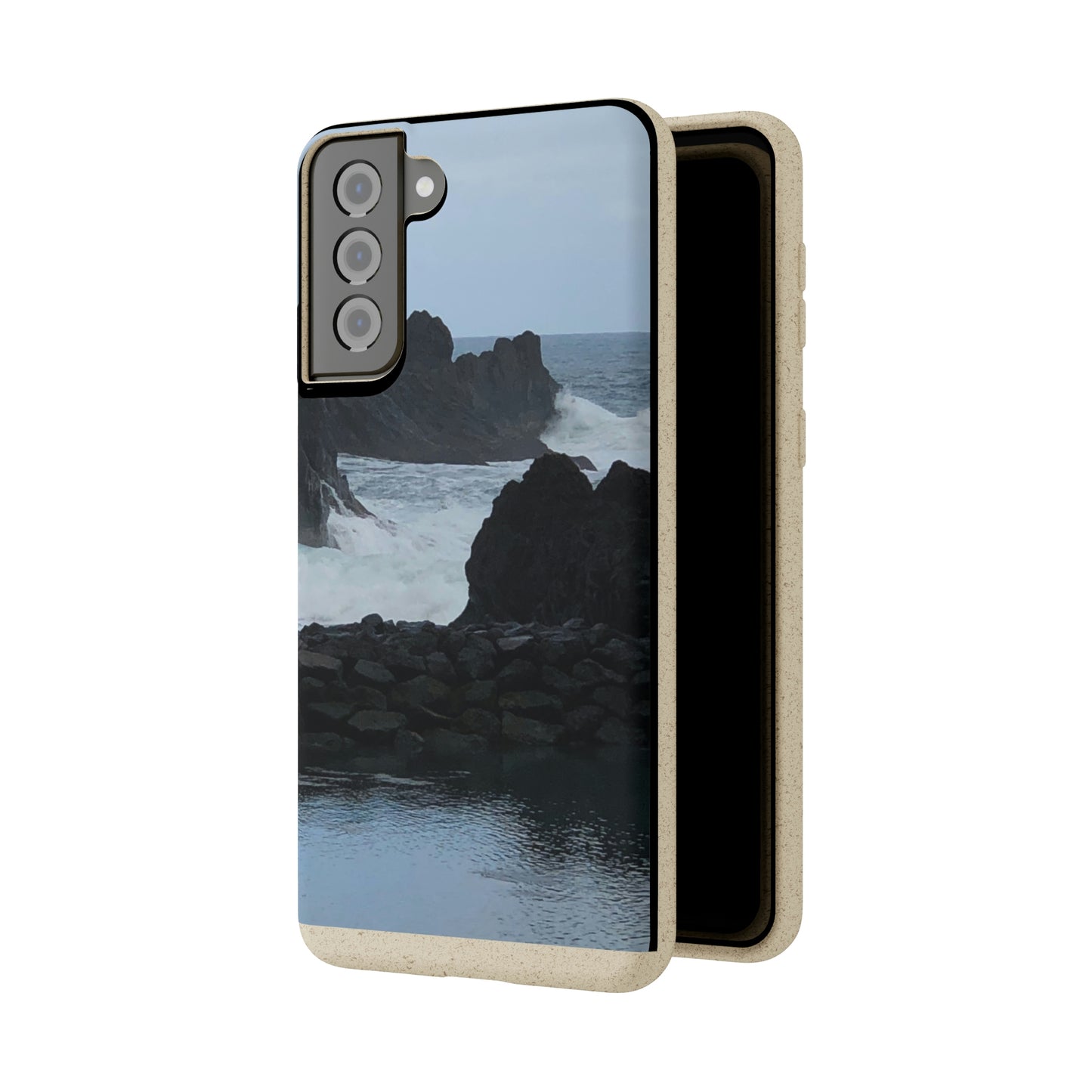 Bio-Cases, Atlantic Ocean