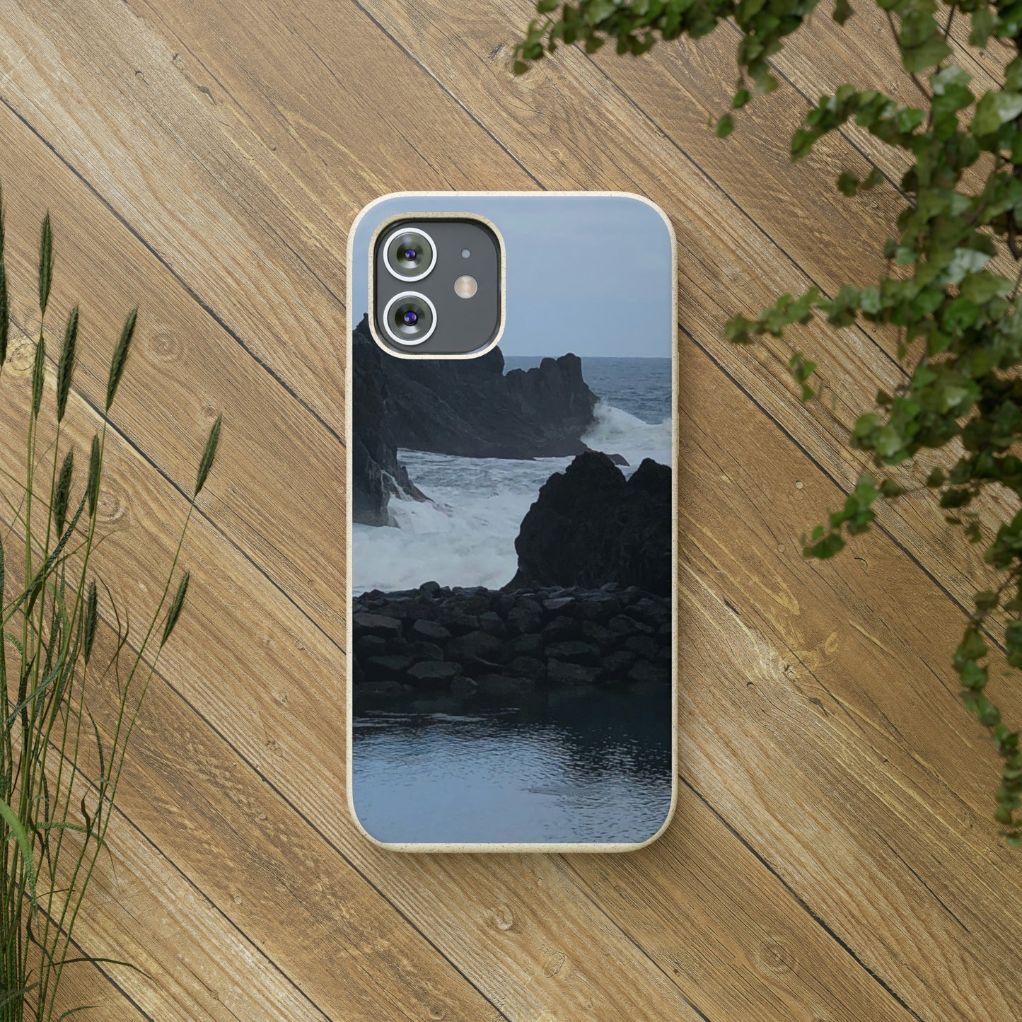 Bio-Cases, Atlantic Ocean