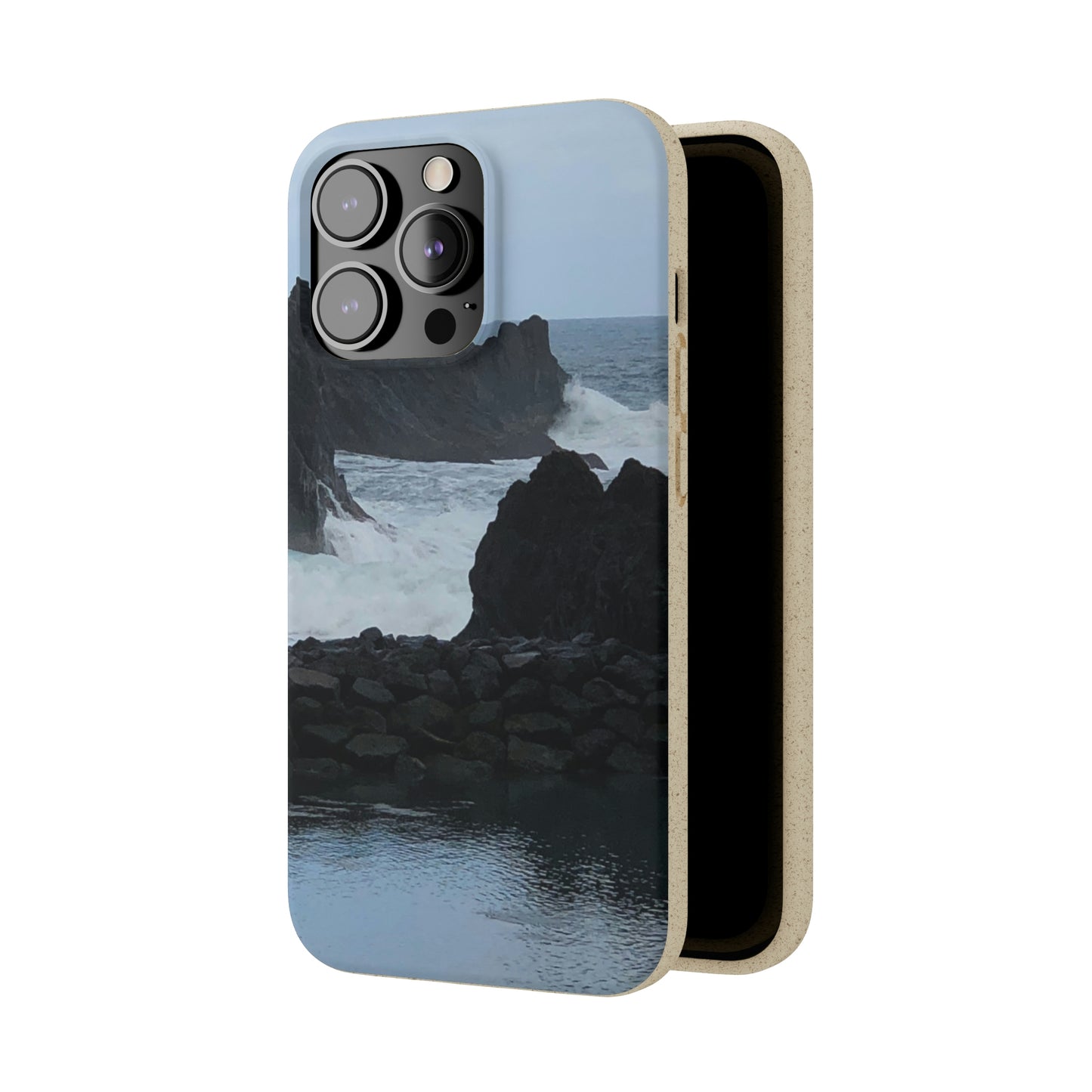 Bio-Cases, Atlantic Ocean