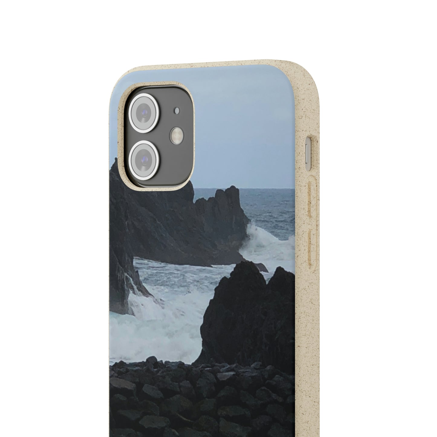 Bio-Cases, Atlantic Ocean