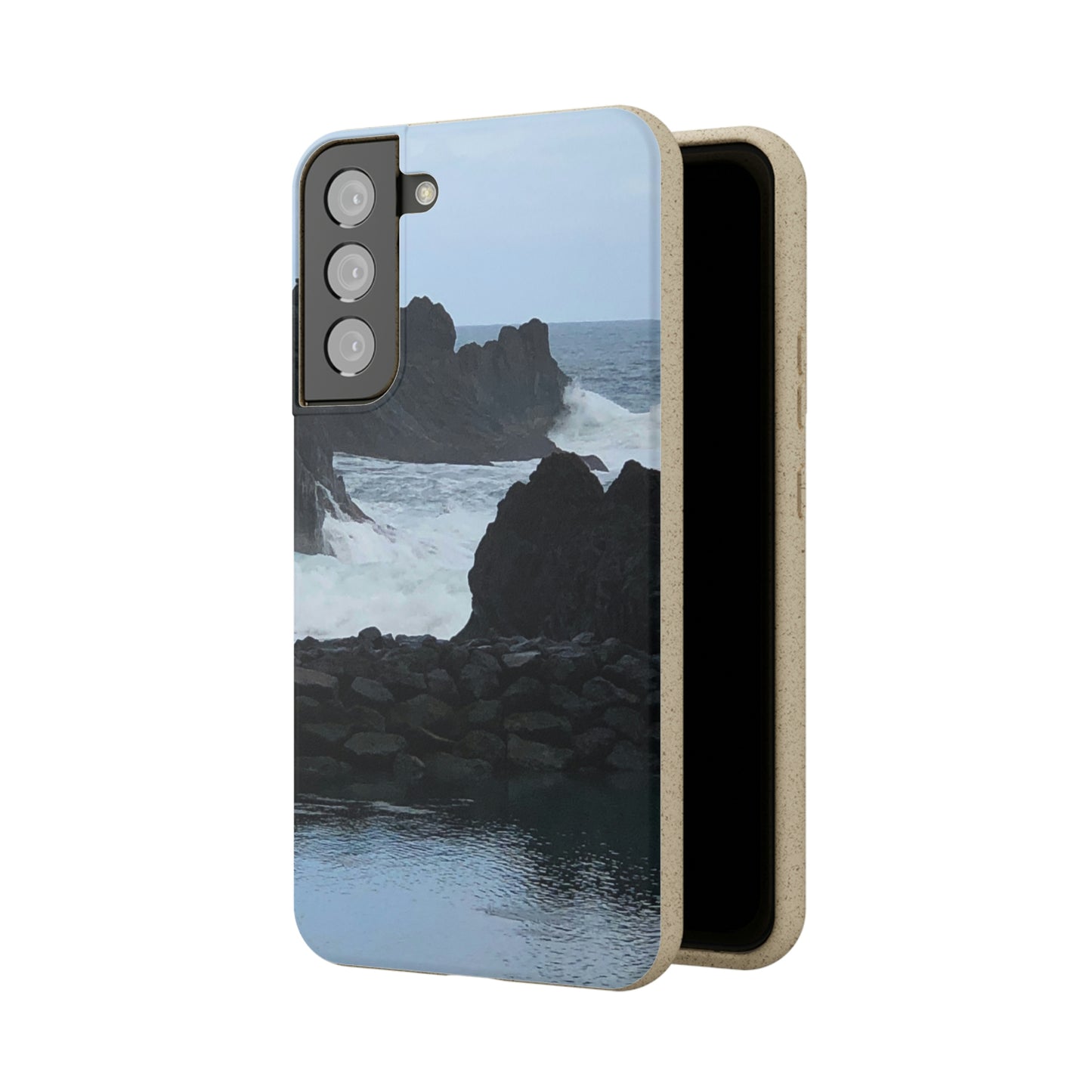 Bio-Cases, Atlantic Ocean