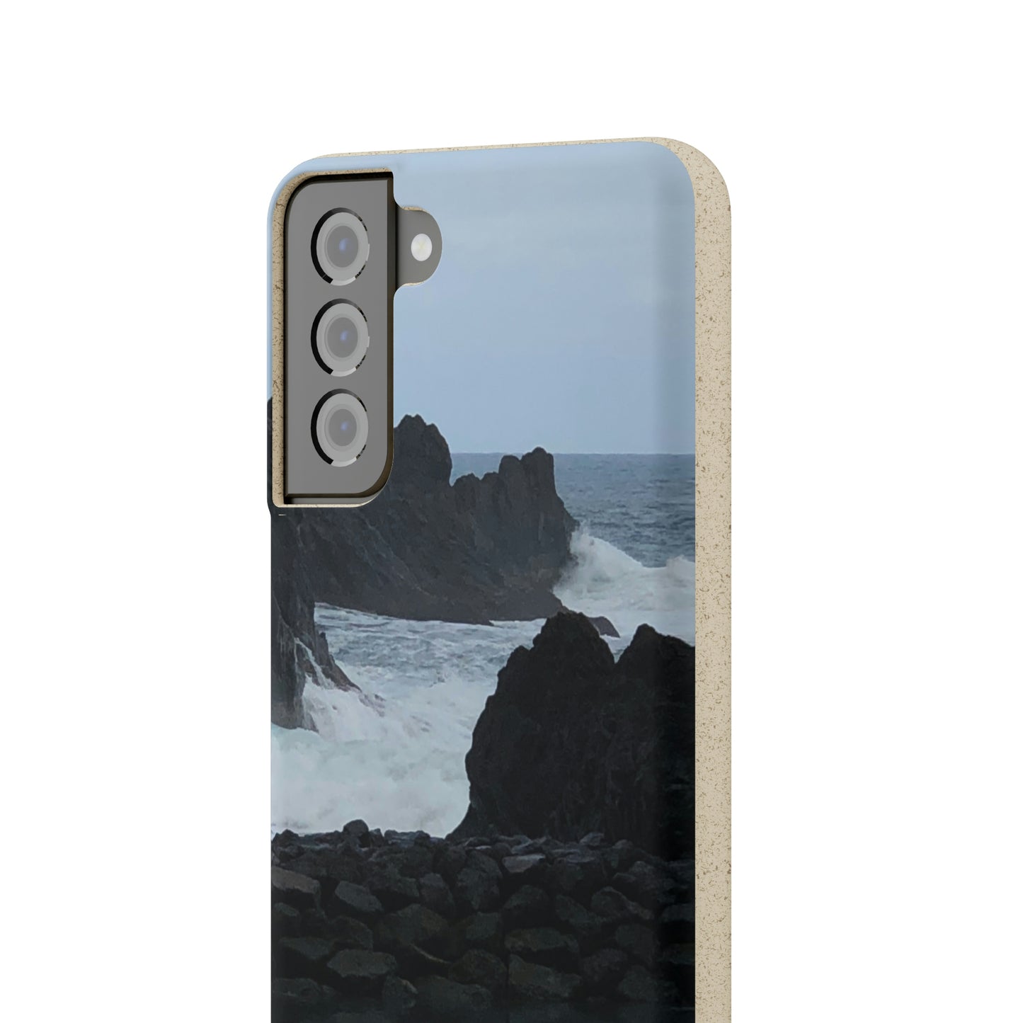 Bio-Cases, Atlantic Ocean