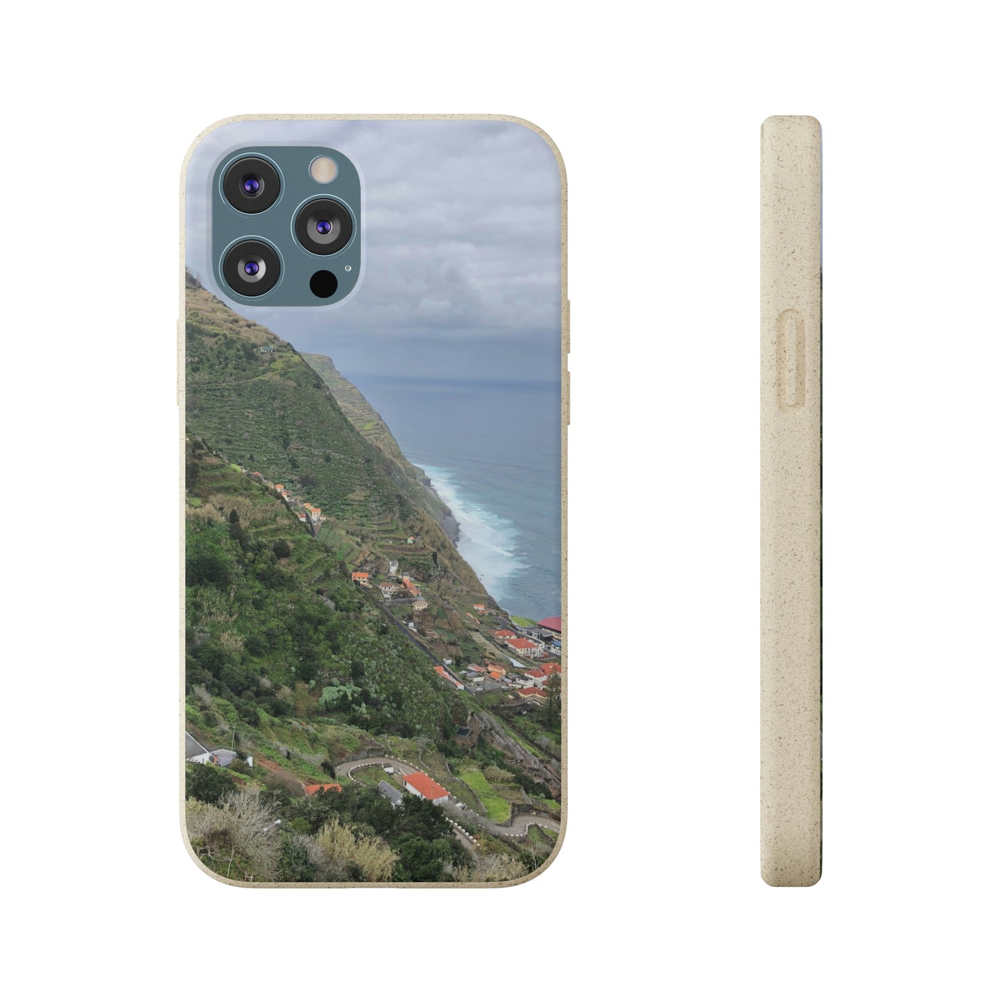 Bio-Cases, Atlantic Ocean Coast