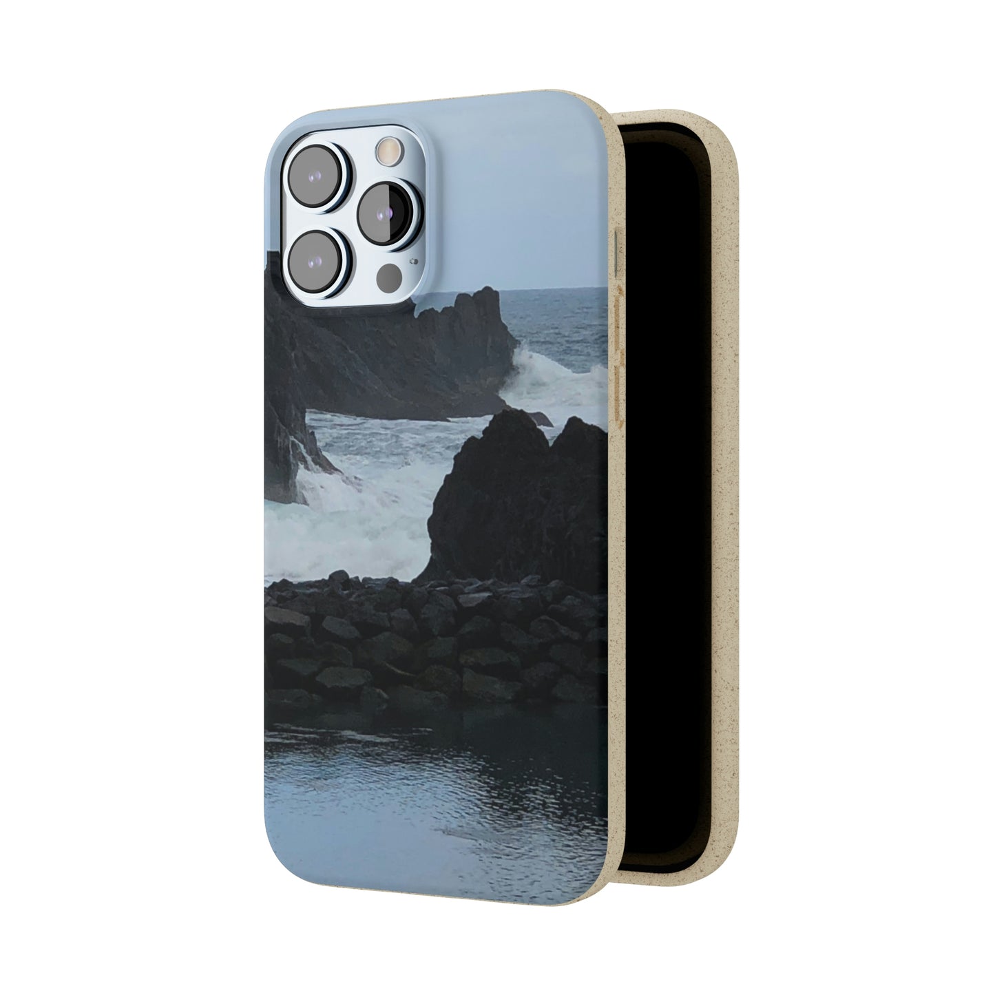 Bio-Cases, Atlantic Ocean