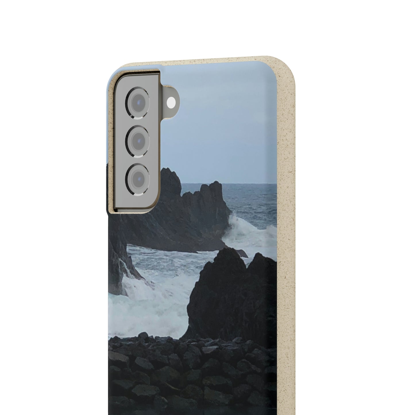Bio-Cases, Atlantic Ocean