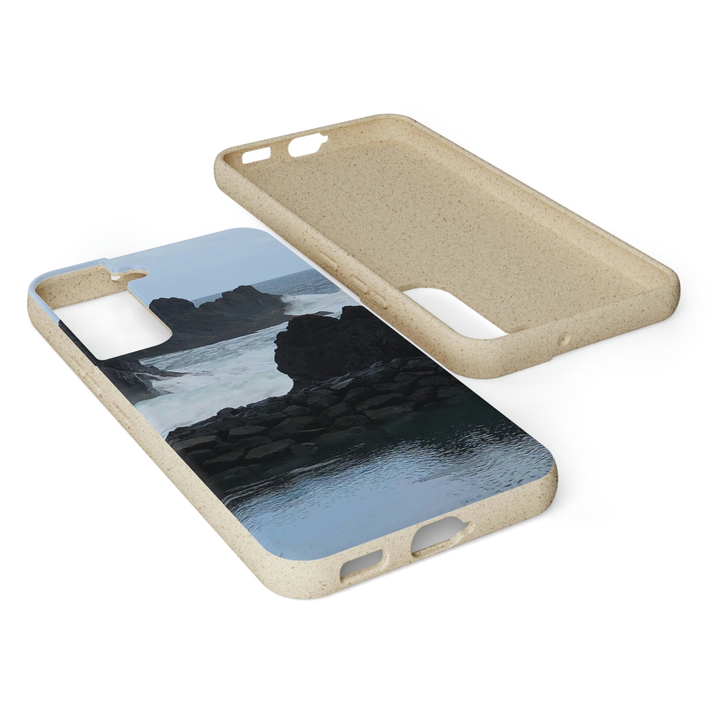 Bio-Cases, Atlantic Ocean