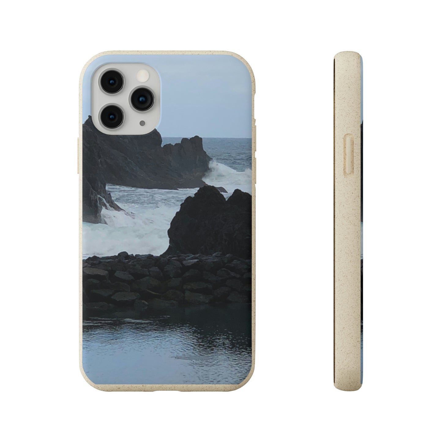 Bio-Cases, Atlantic Ocean