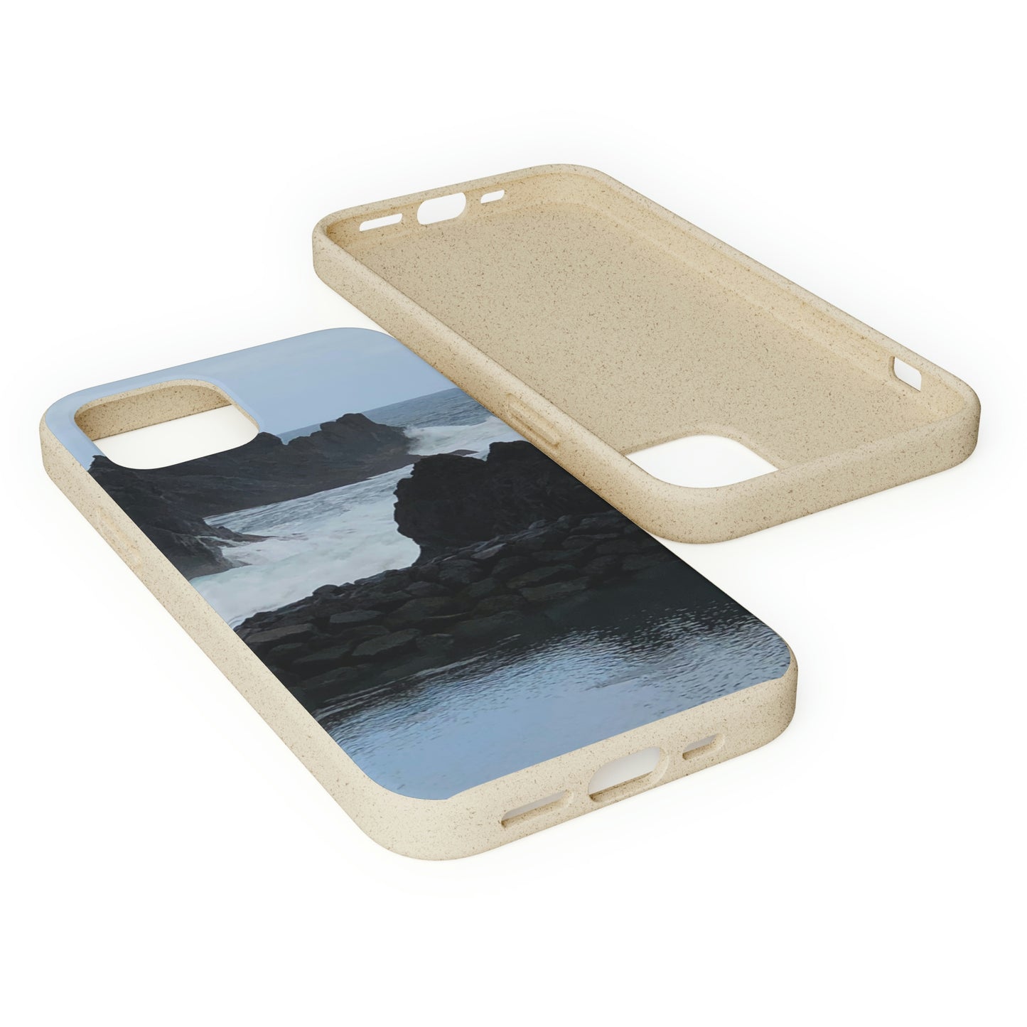 Bio-Cases, Atlantic Ocean