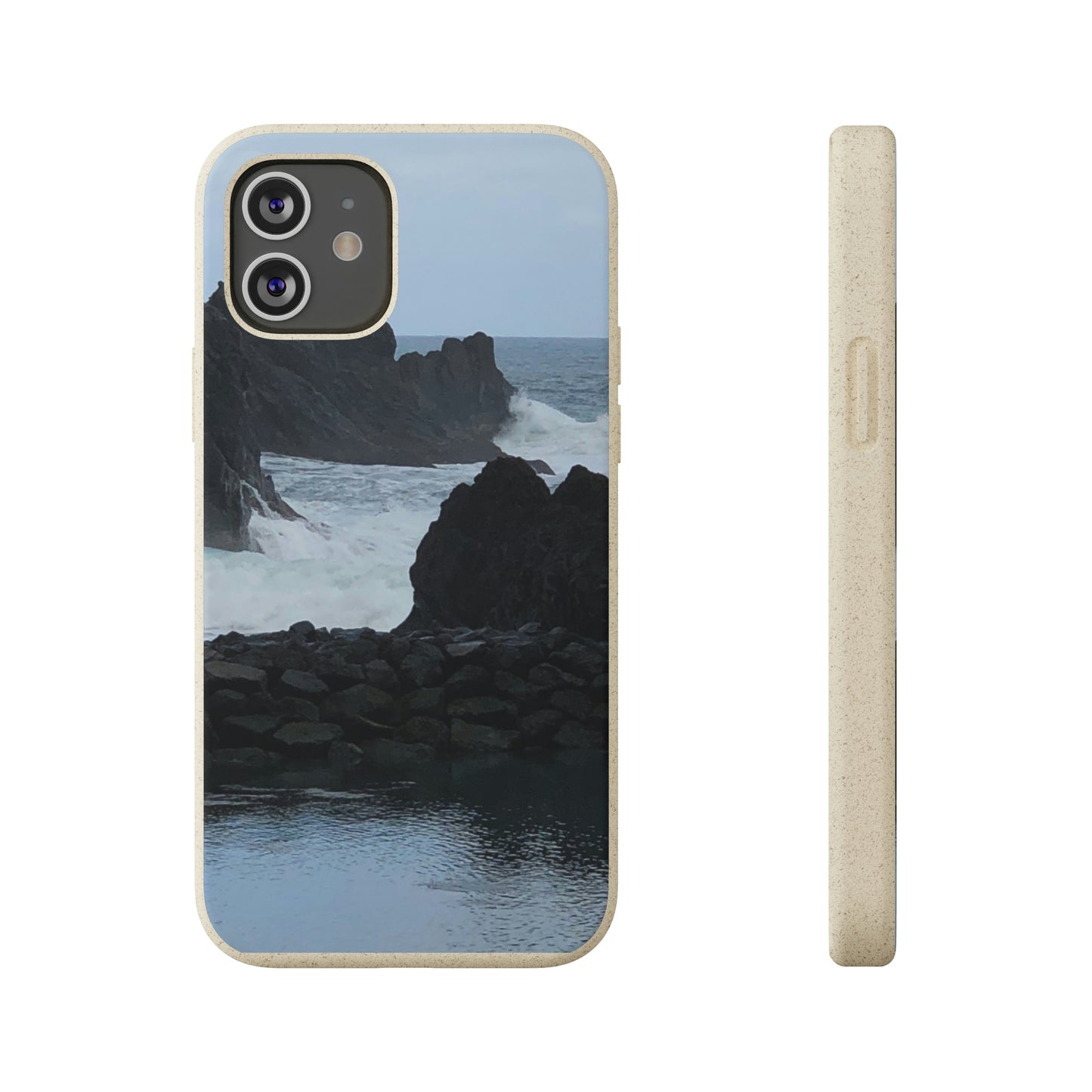 Bio-Cases, Atlantic Ocean