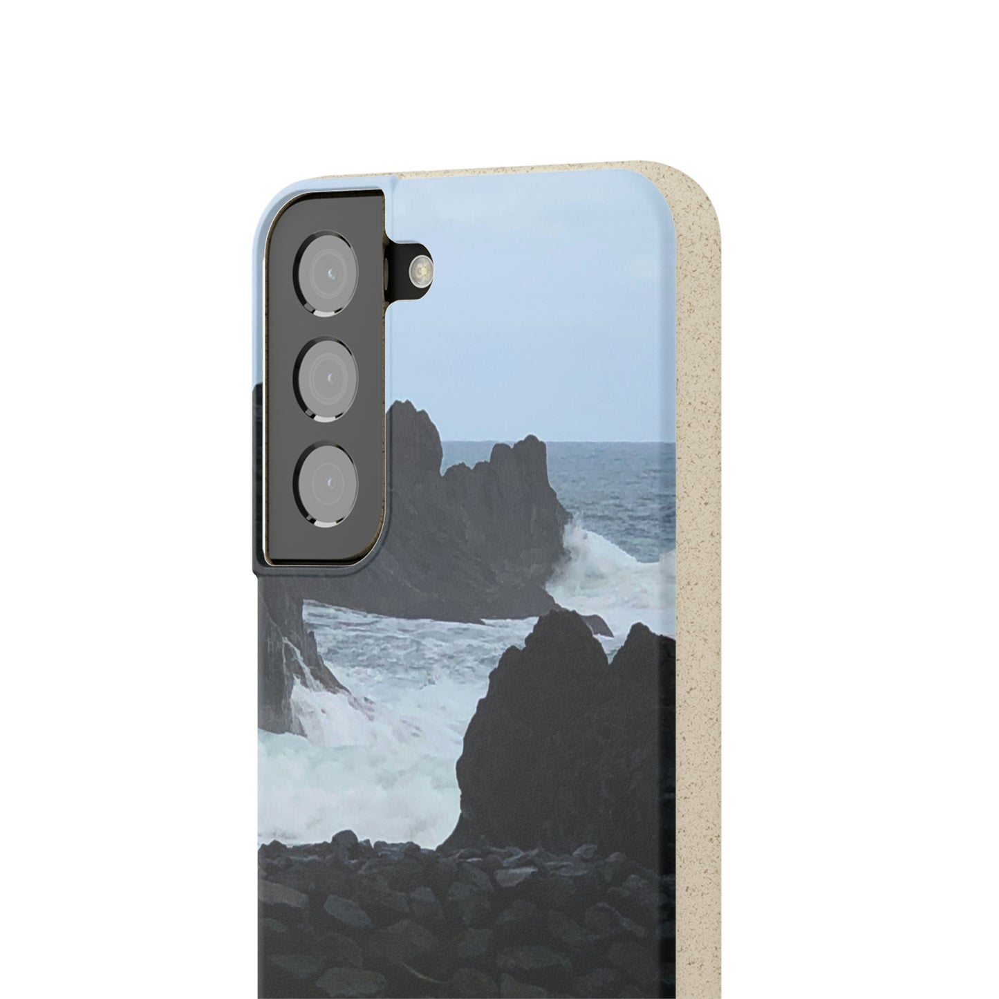 Bio-Cases, Atlantic Ocean