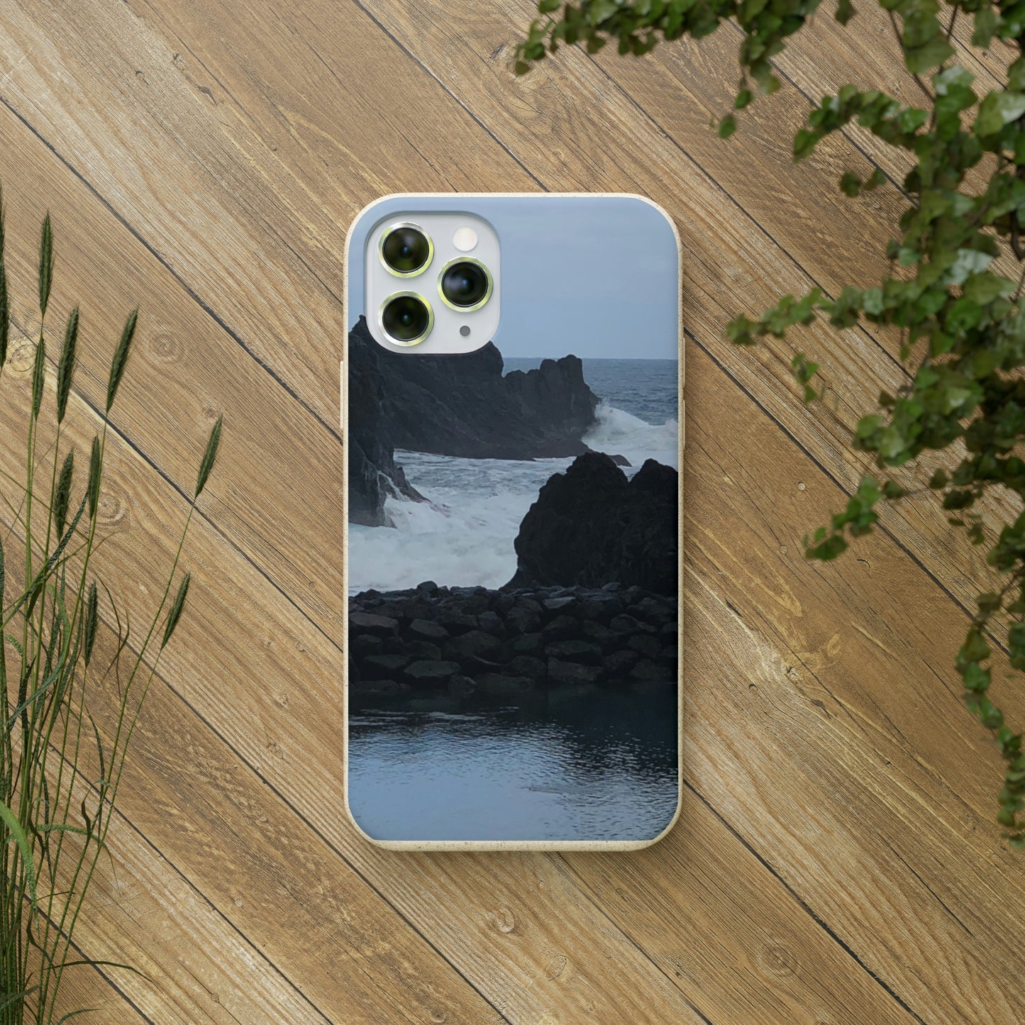 Bio-Cases, Atlantic Ocean