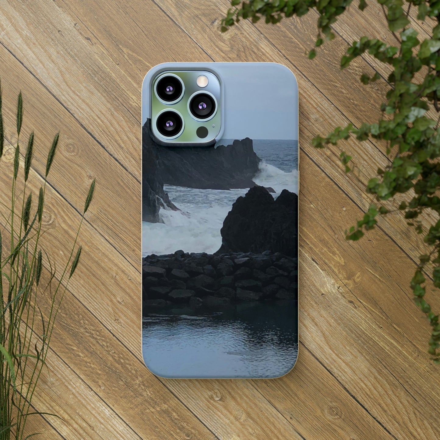 Bio-Cases, Atlantic Ocean
