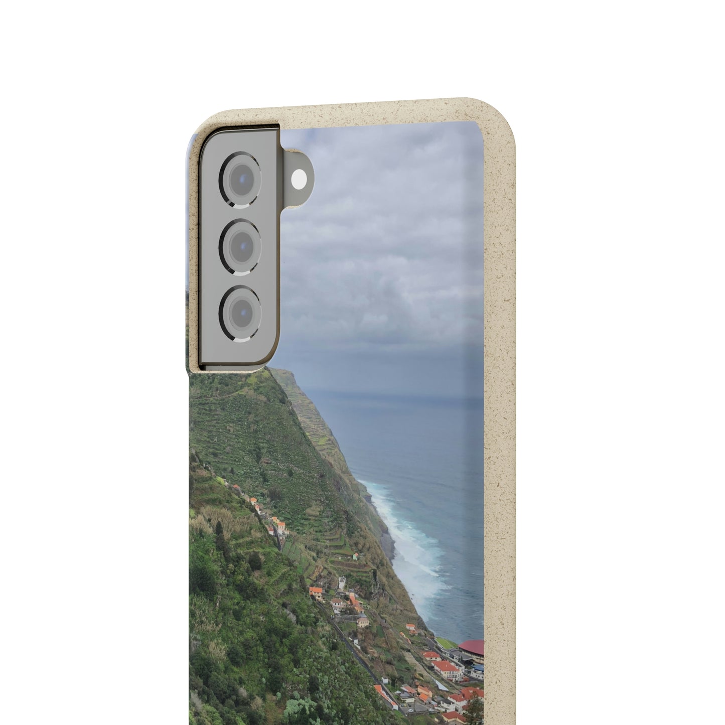 Bio-Cases, Atlantic Ocean Coast