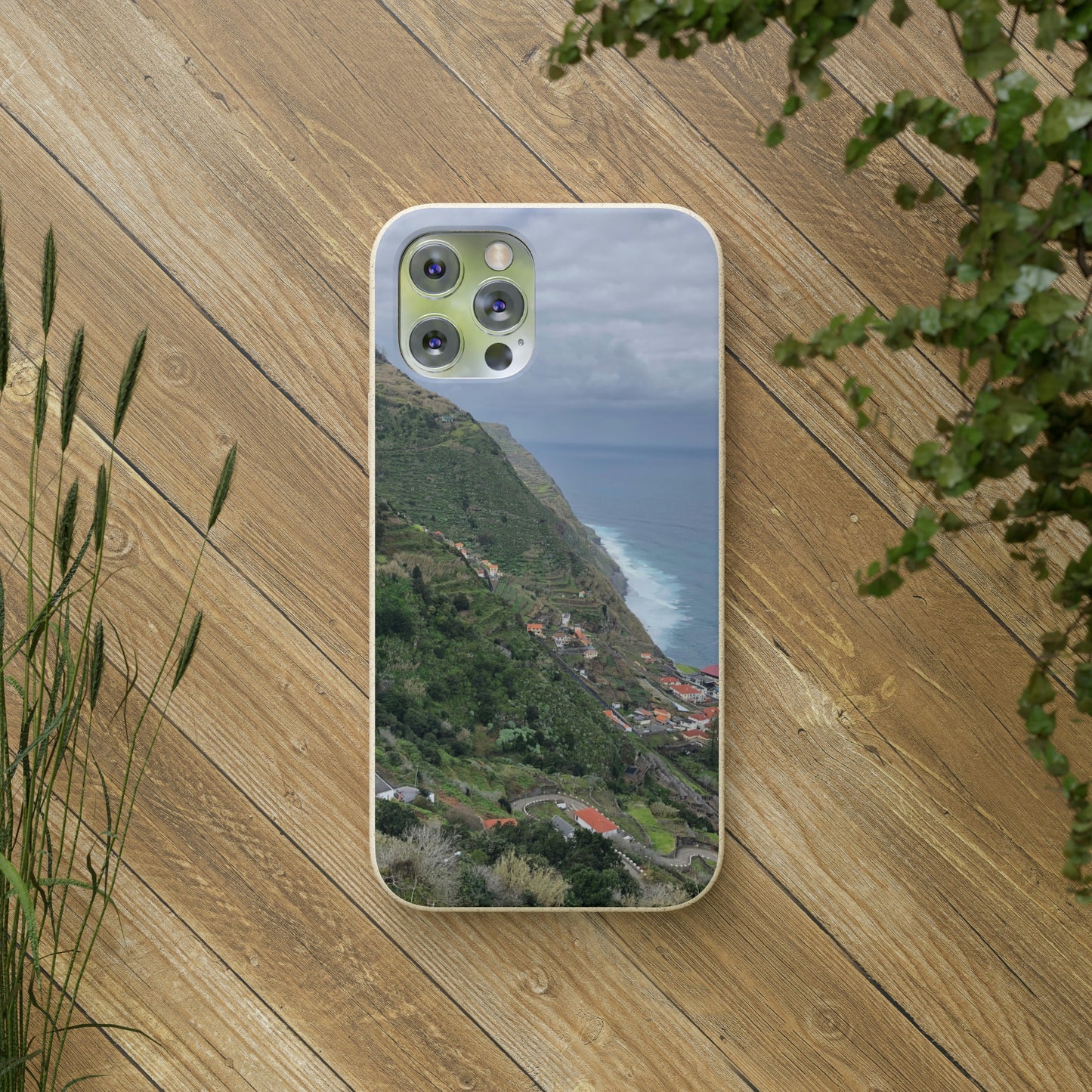 Bio-Cases, Atlantic Ocean Coast
