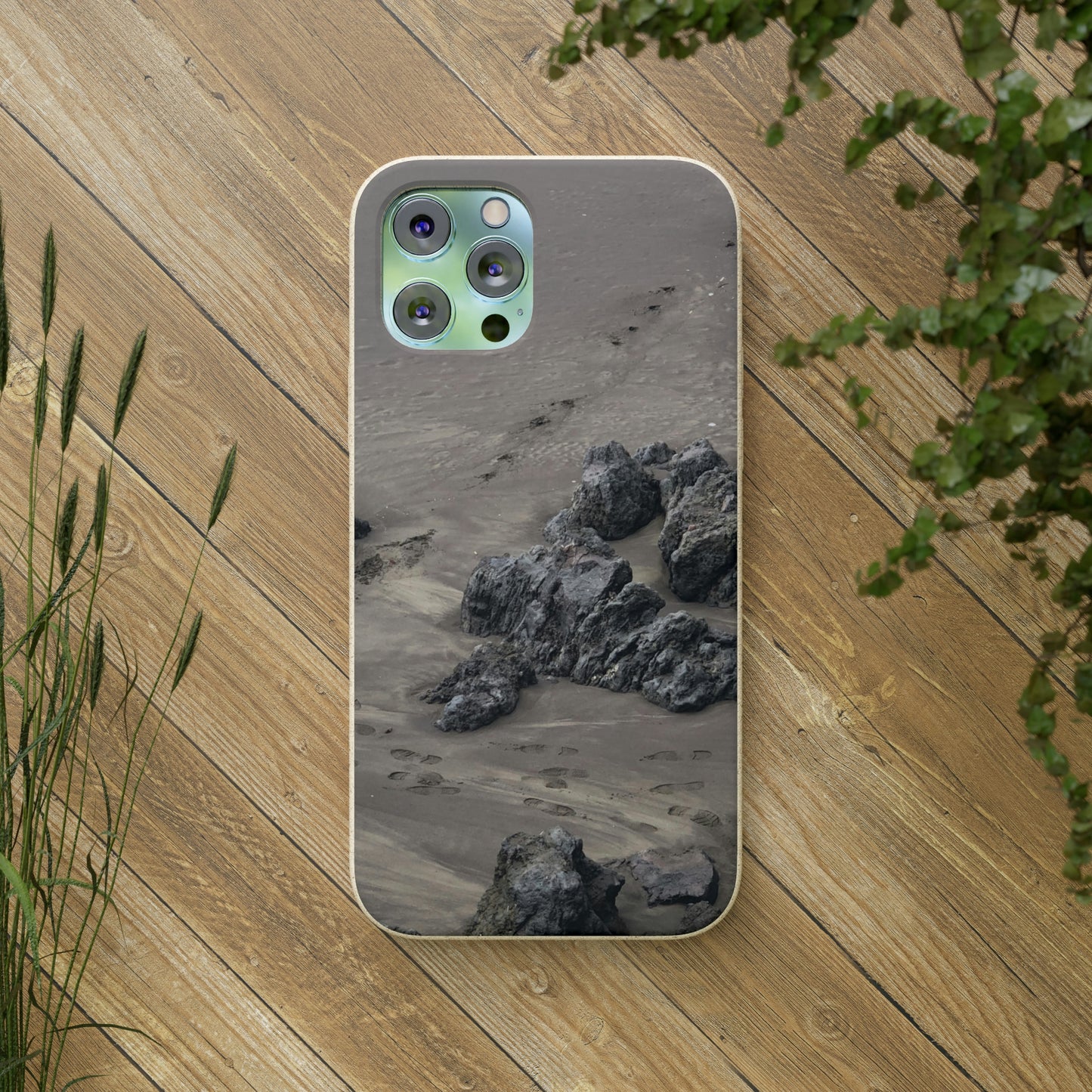 Bio-Cases, Beach Tracks