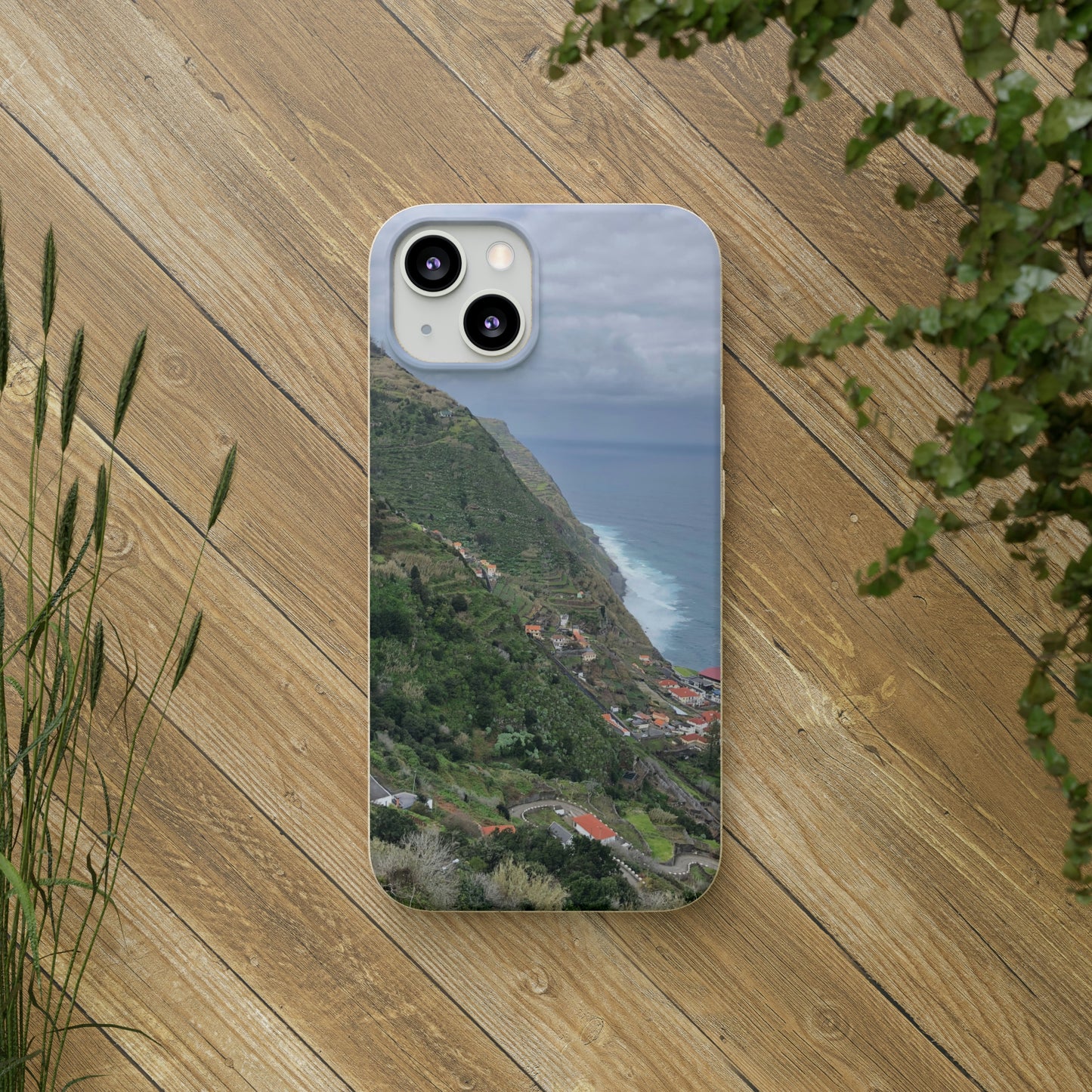 Bio-Cases, Atlantic Ocean Coast