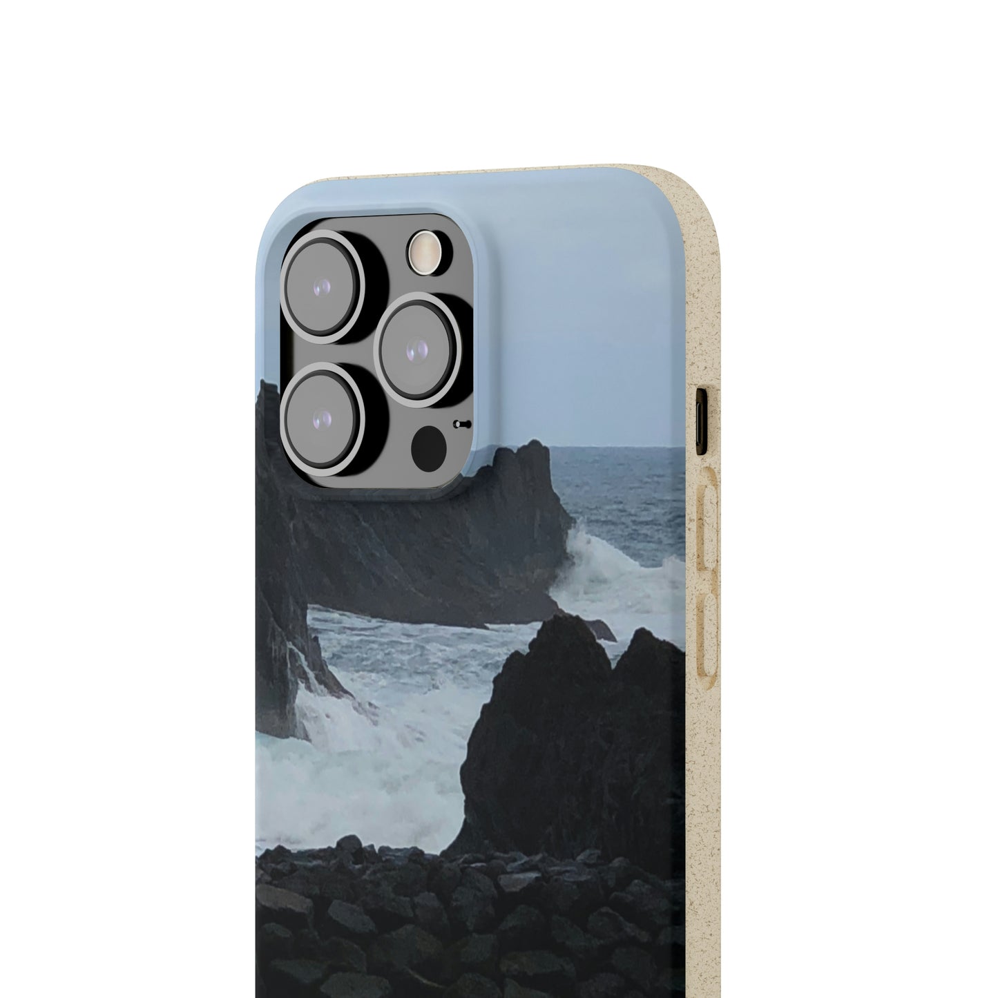 Bio-Cases, Atlantic Ocean